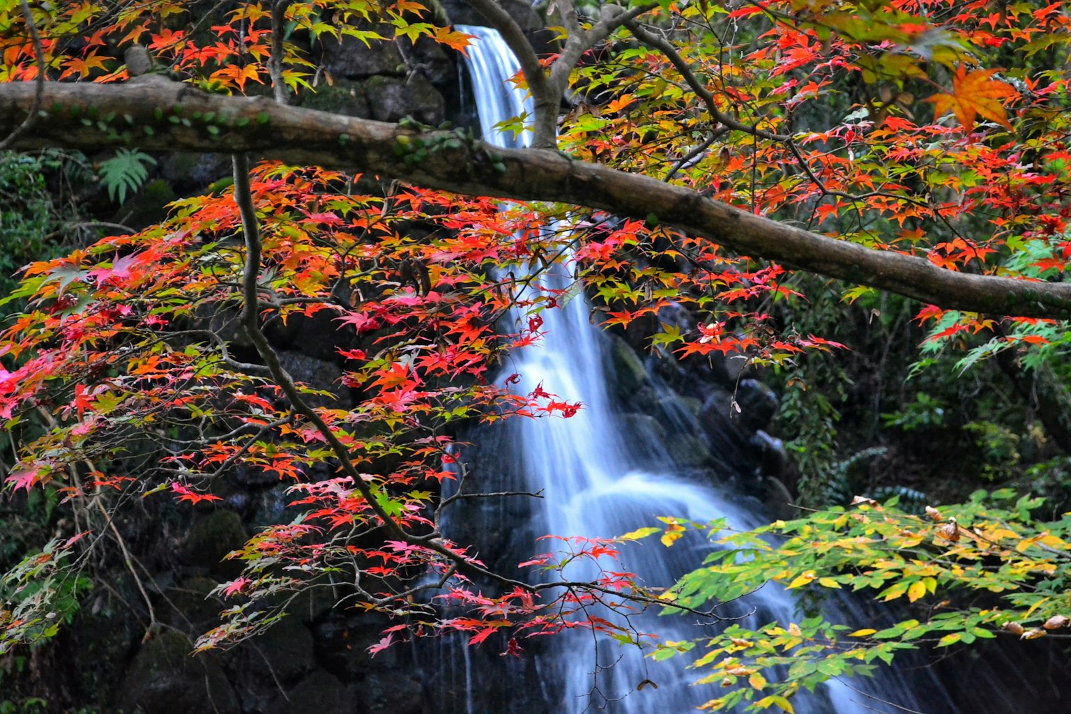 Beautiful waterfall surrounded by colorful autumn leaves