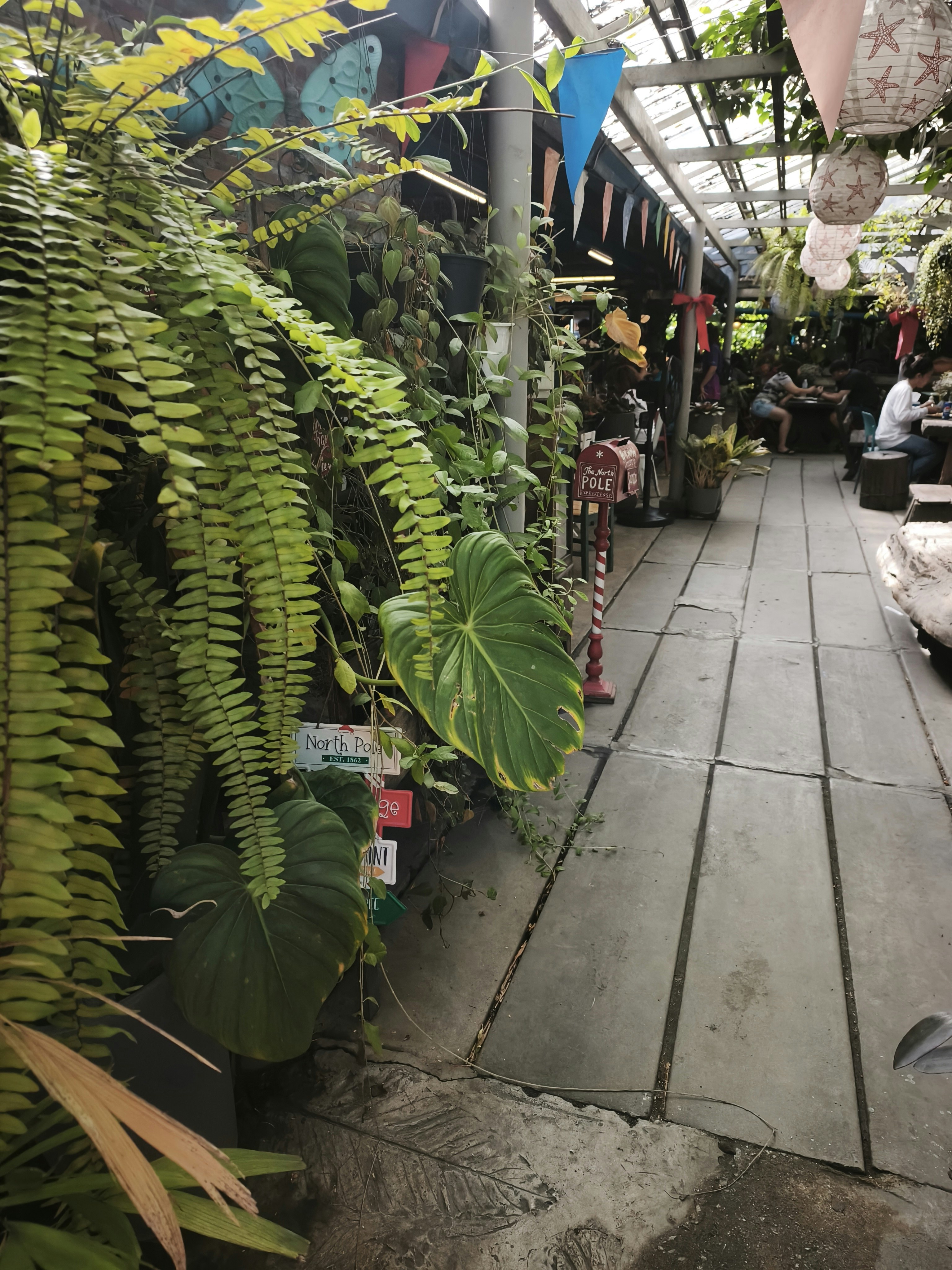鉢植えのシダと観葉植物が並ぶ屋内の通路