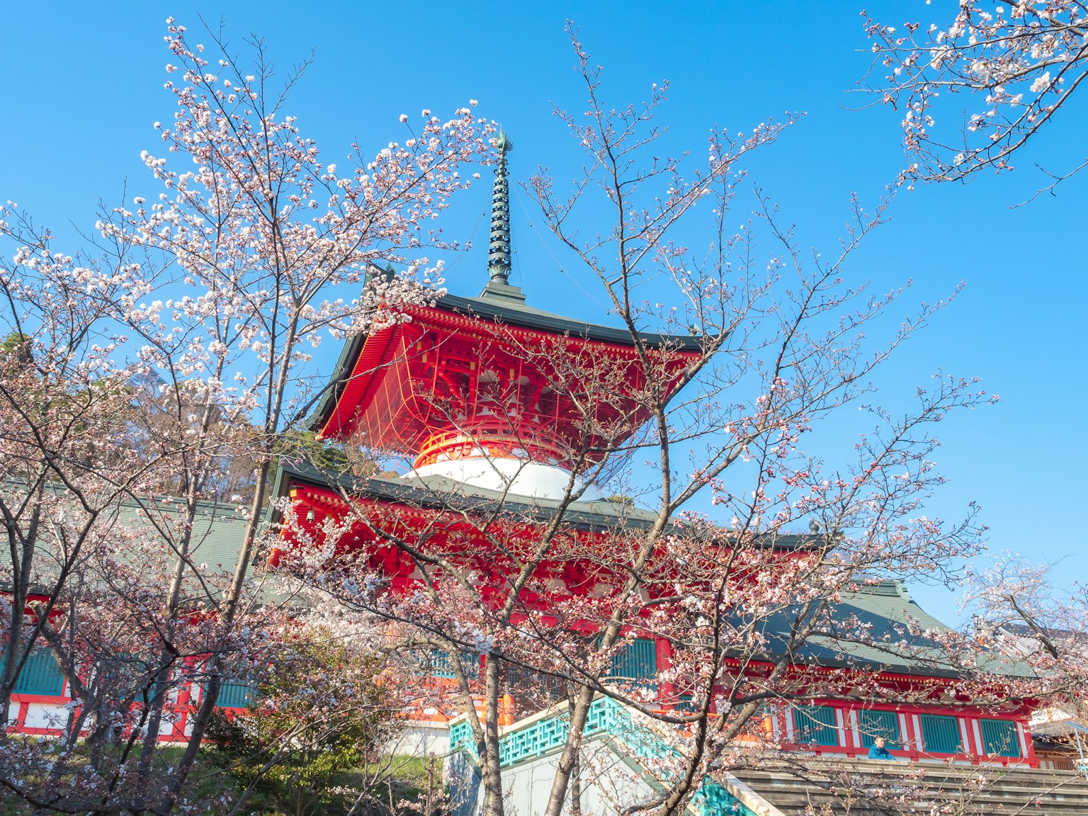 Hermoso paisaje con cerezos en flor y un templo rojo bajo un cielo azul