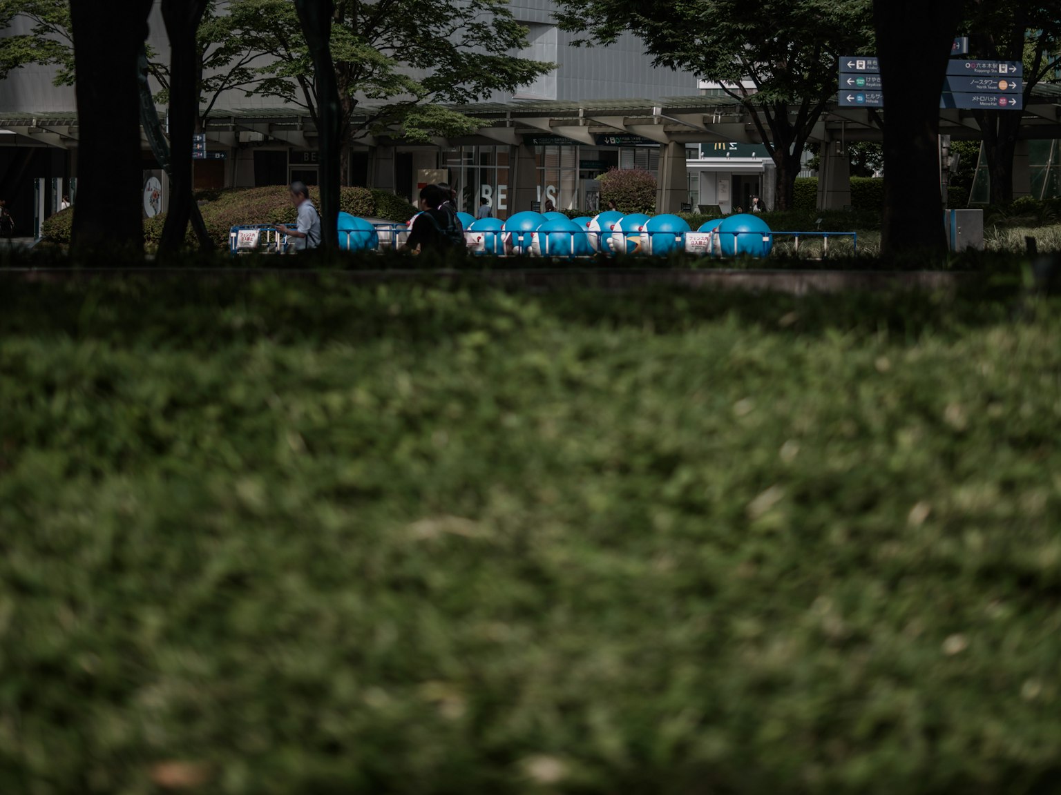 Pemandangan kursi biru yang diatur di depan area rumput