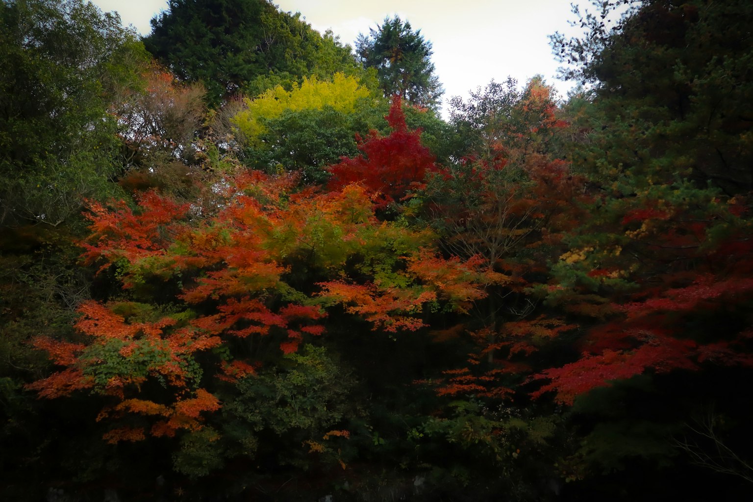 photo-Z1StwuCt6S9ln02YGqxo-image
