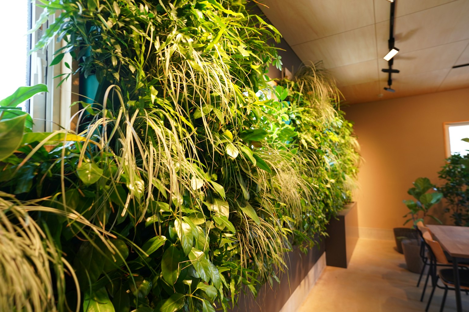 Escena interior con un jardín vertical exuberante