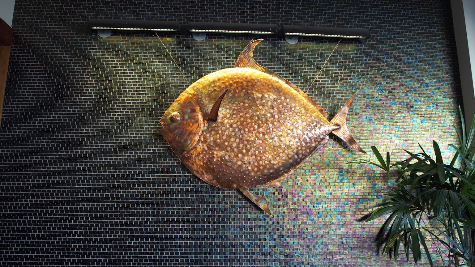 A large golden fish art piece hanging on a textured wall