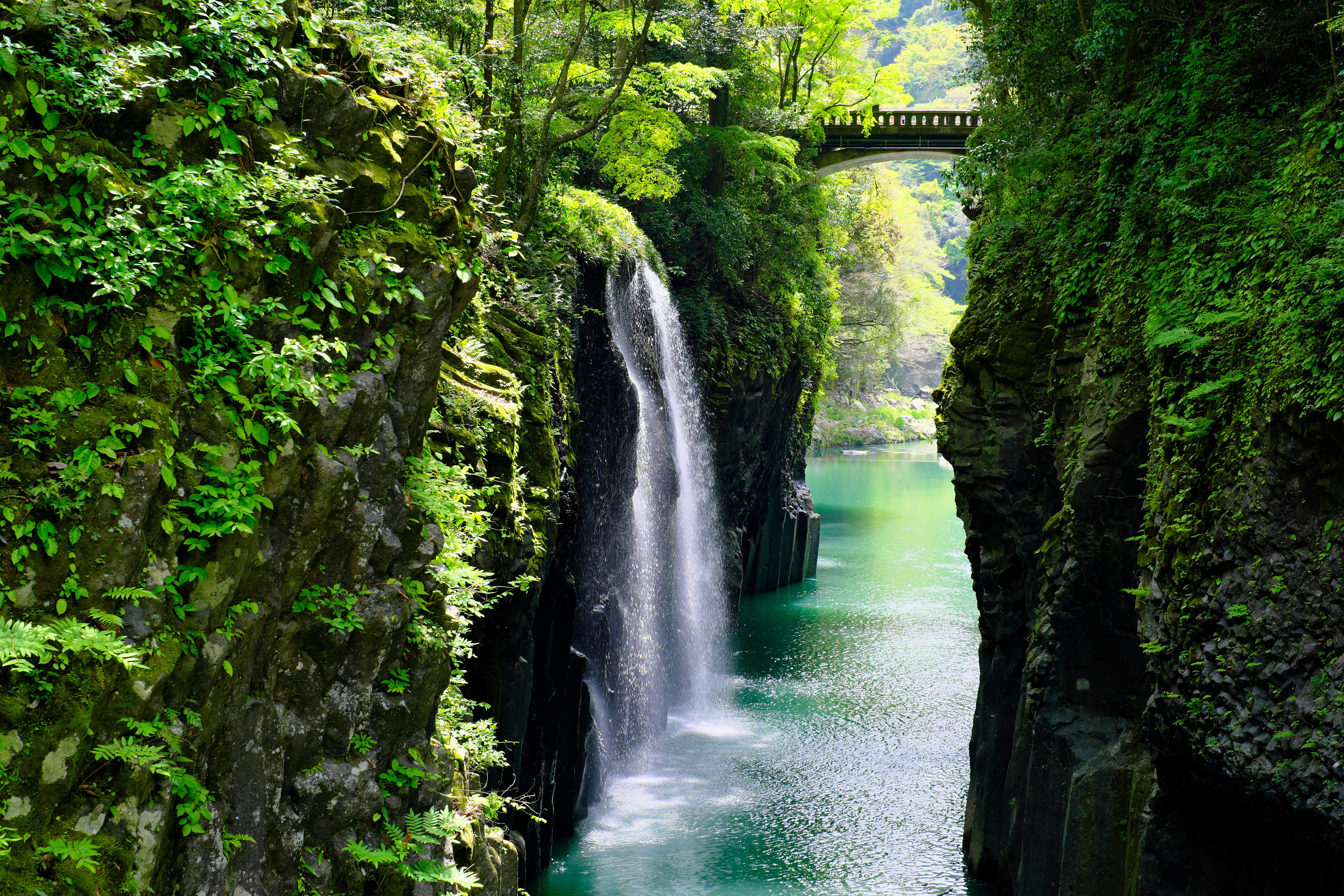緑に囲まれた渓谷の滝と川の流れ