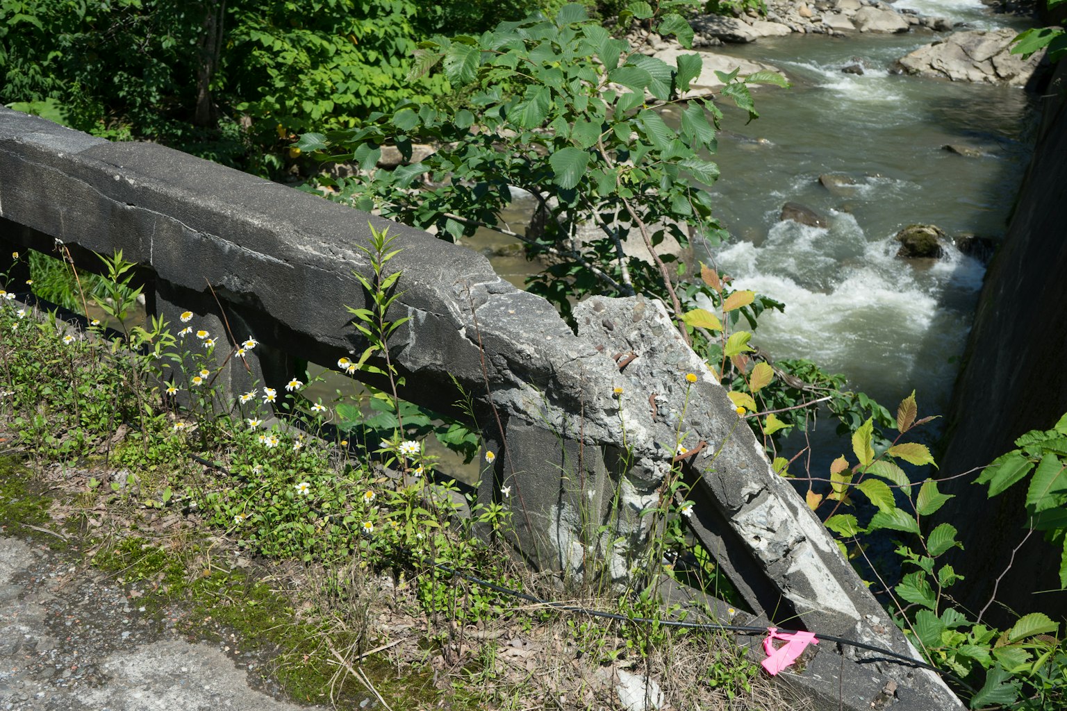 Part of a crumbling concrete bridge with surrounding lush greenery