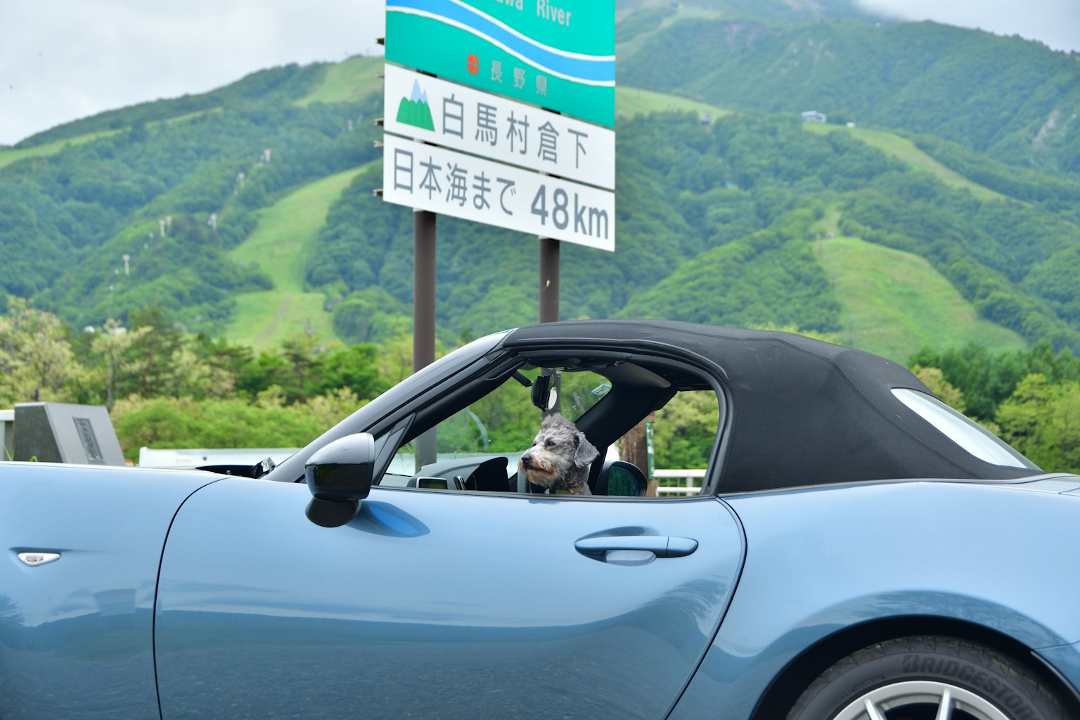 Un personaje de perro sentado en un coche convertible azul con un fondo montañoso
