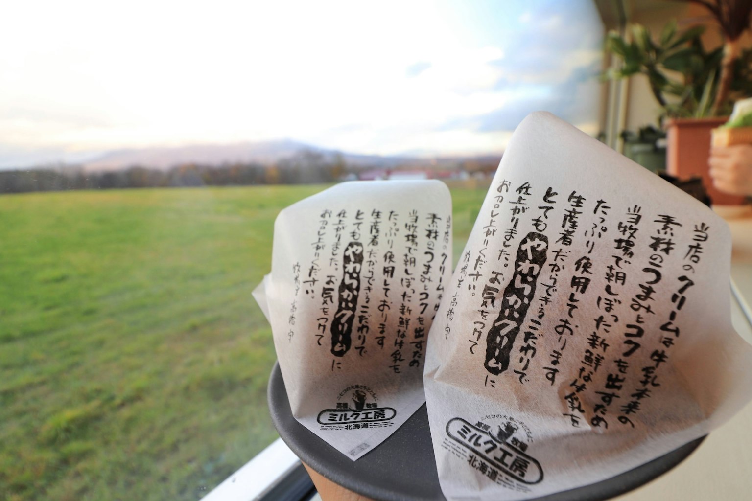 Two wrapped rice balls with handwritten labels against a scenic background