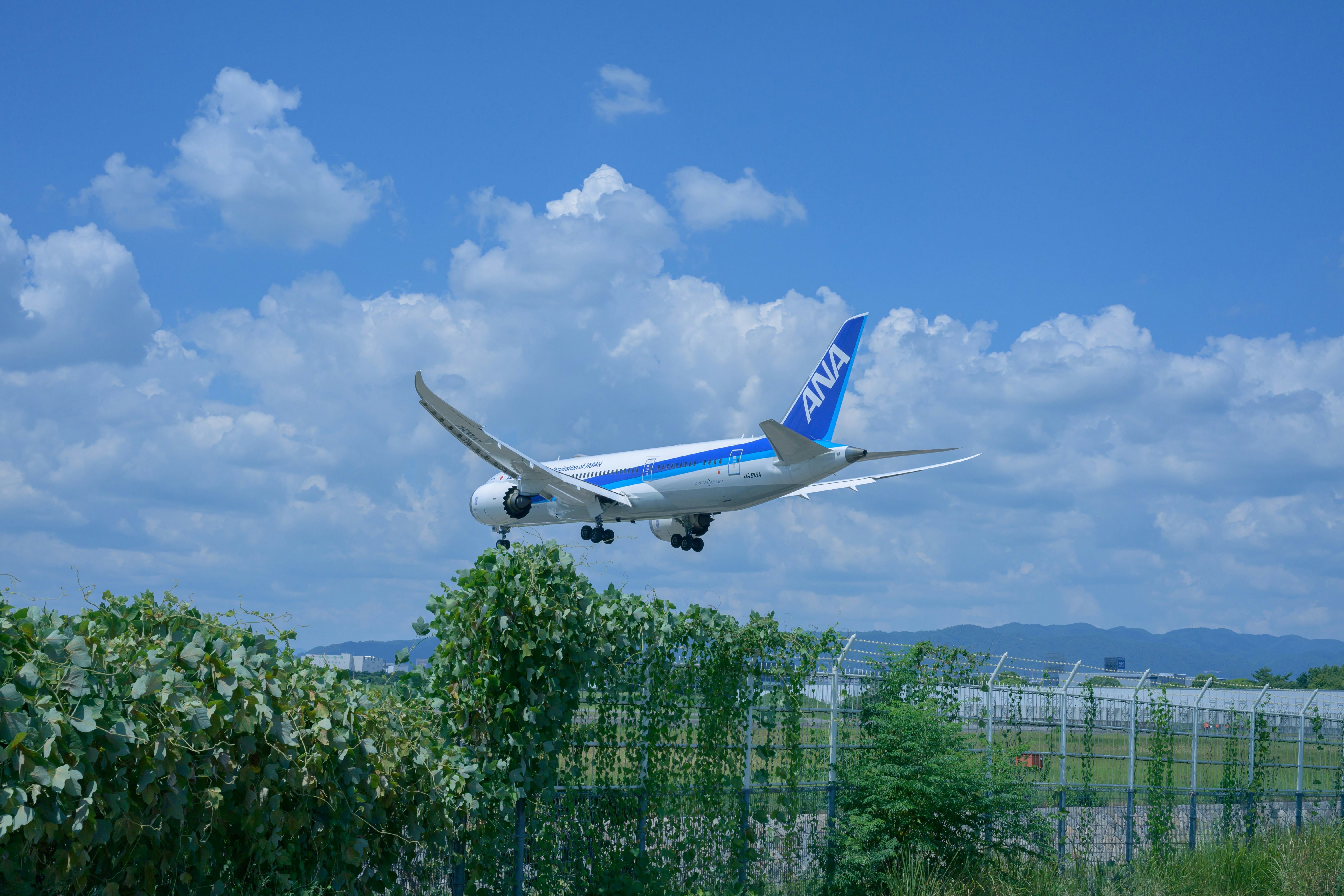 畑の向こうを飛行機が飛ぶ空港周辺の風景