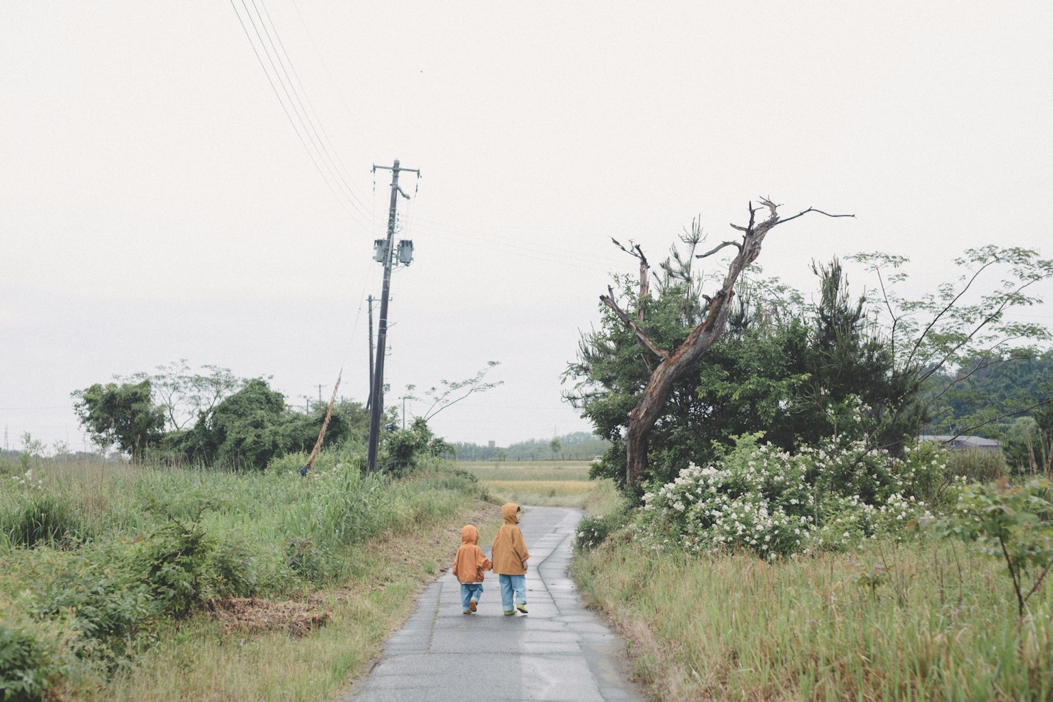 Two children walking in the rain on a rural road with lush greenery