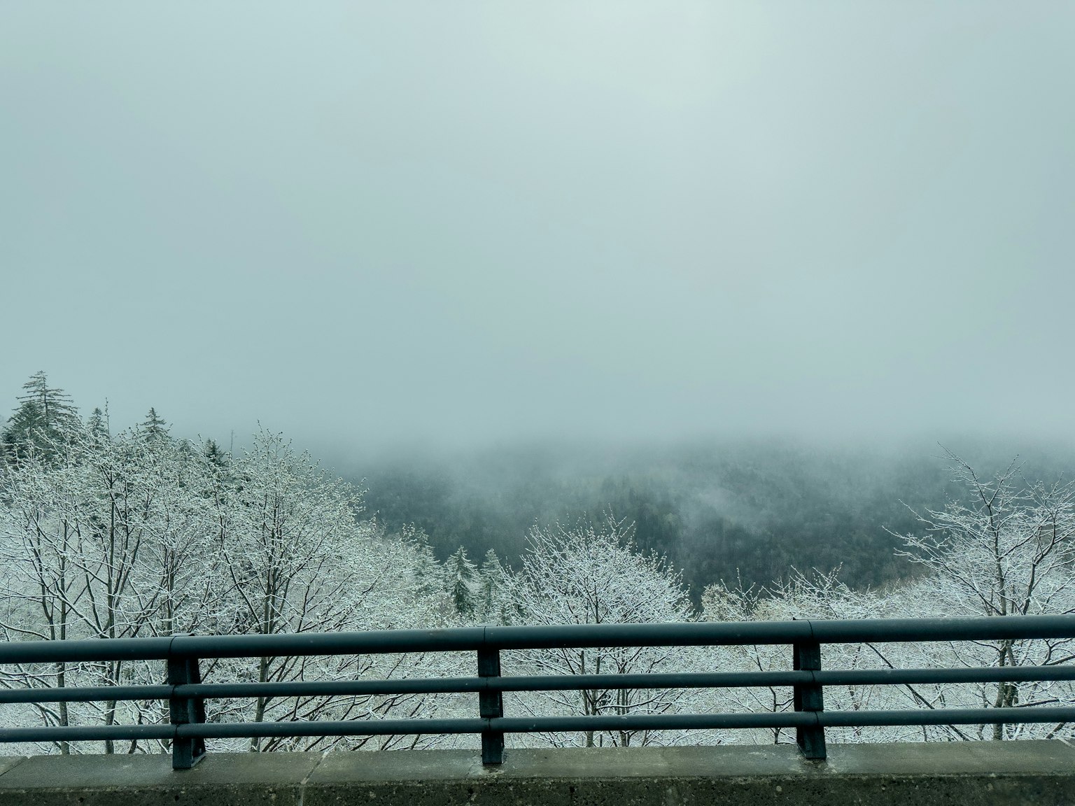 Nebeliger Landschaft mit schneebedeckten Bäumen und einem Zaun