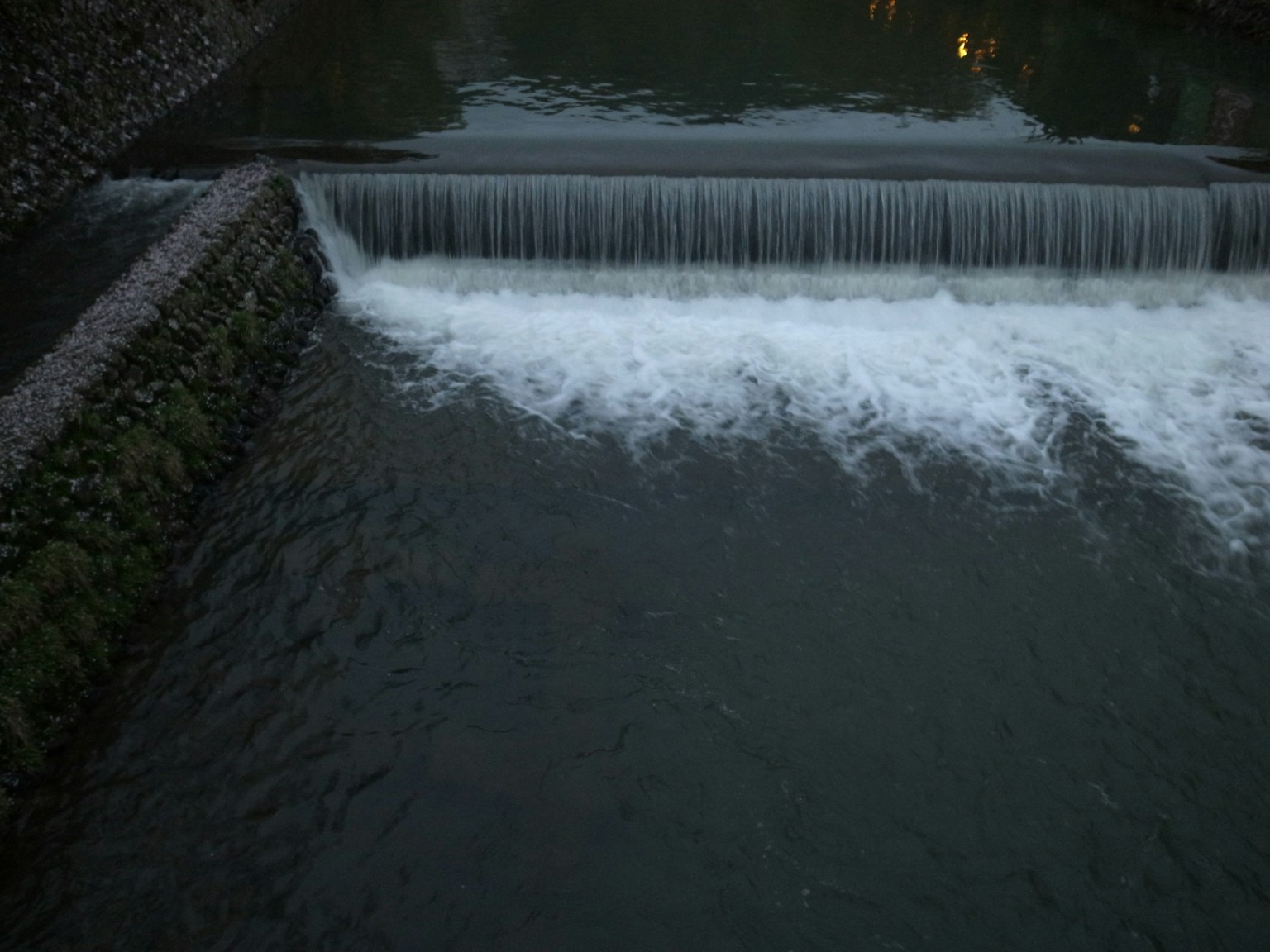 Flusso d'acqua calmo con una piccola cascata
