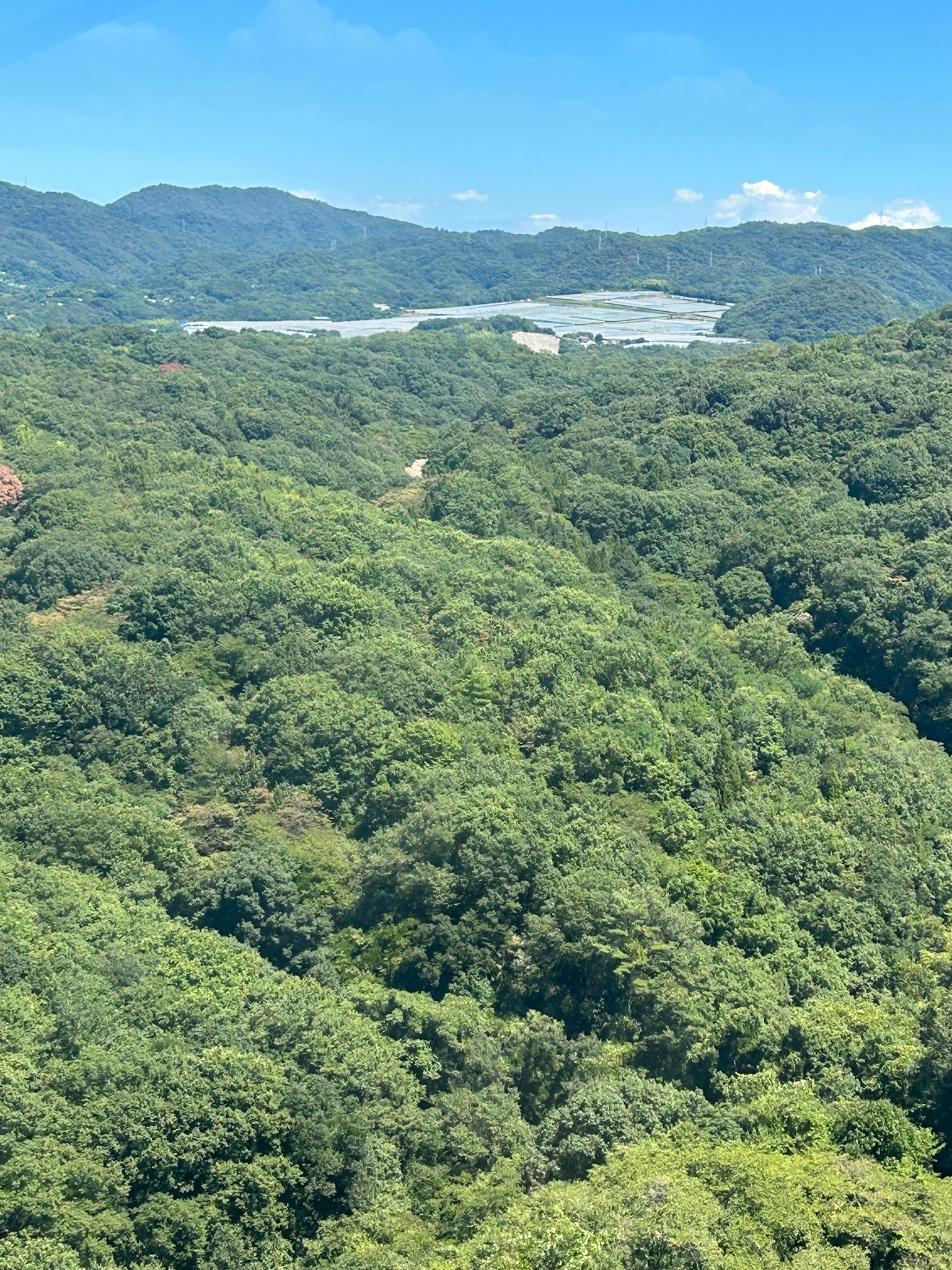 Montañas verdes con un paisaje forestal extenso