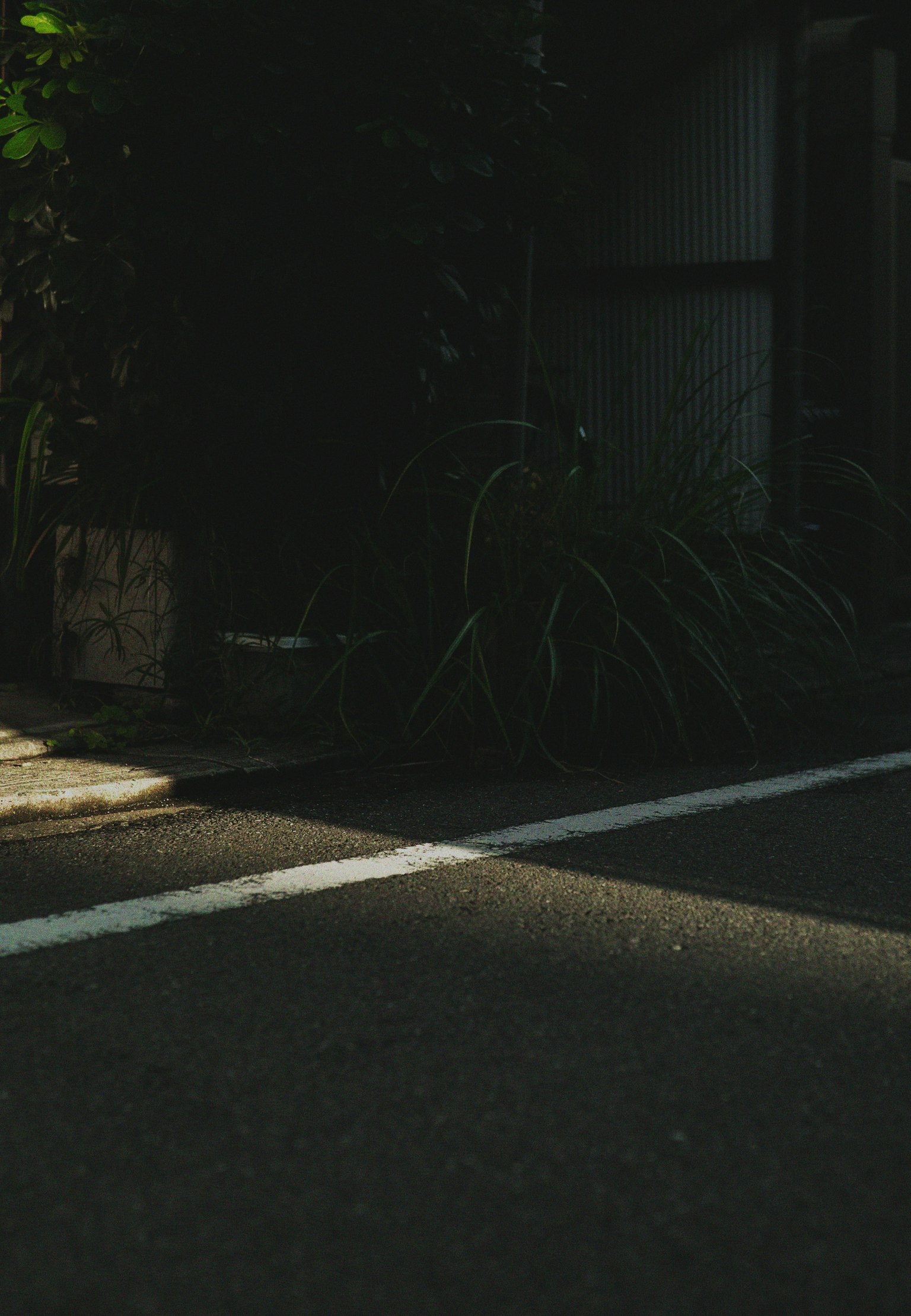 A quiet part of a road with a white line crossing in a dark background