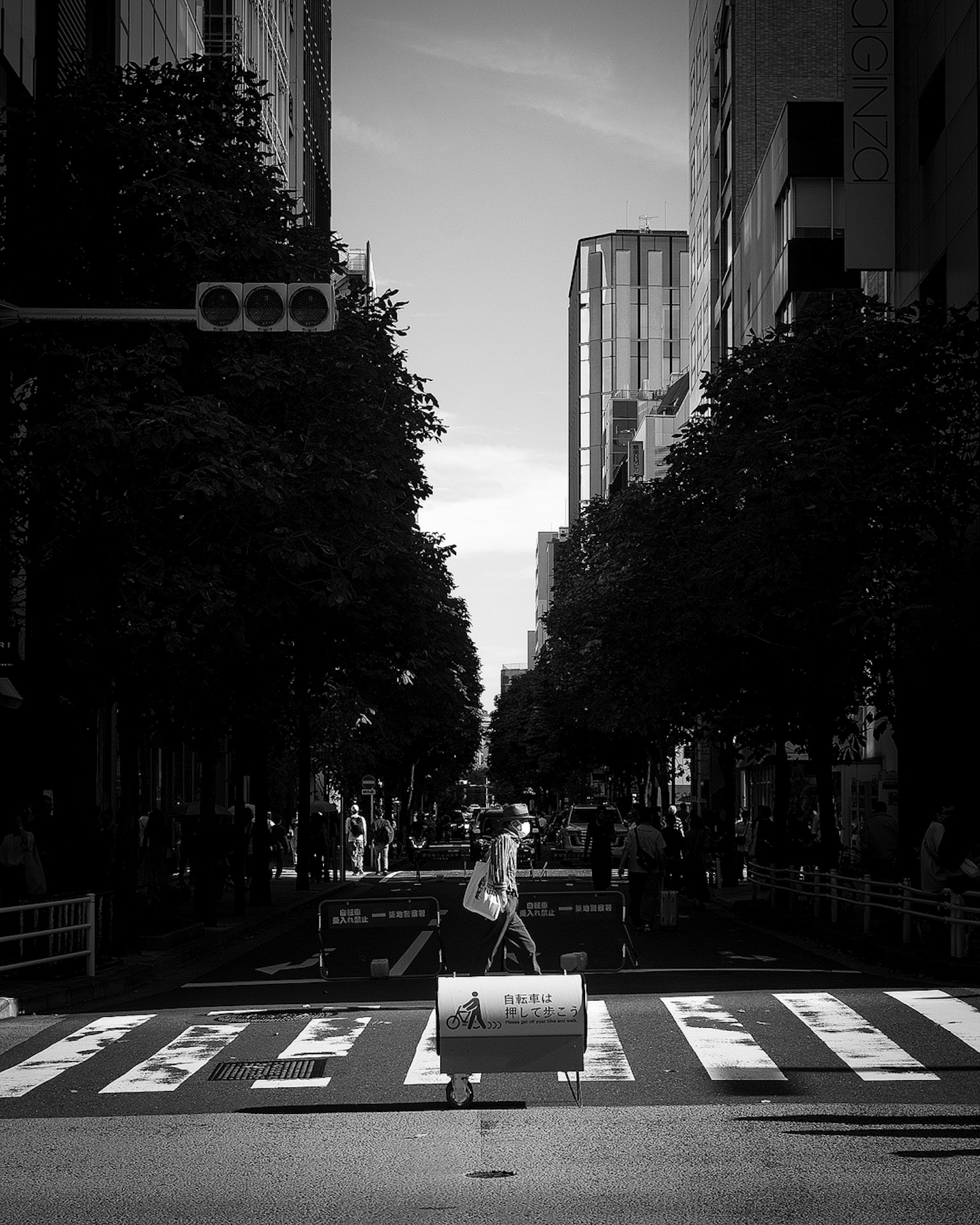 Escena de calle en blanco y negro con una persona de pie en un paso de peatones y líneas blancas