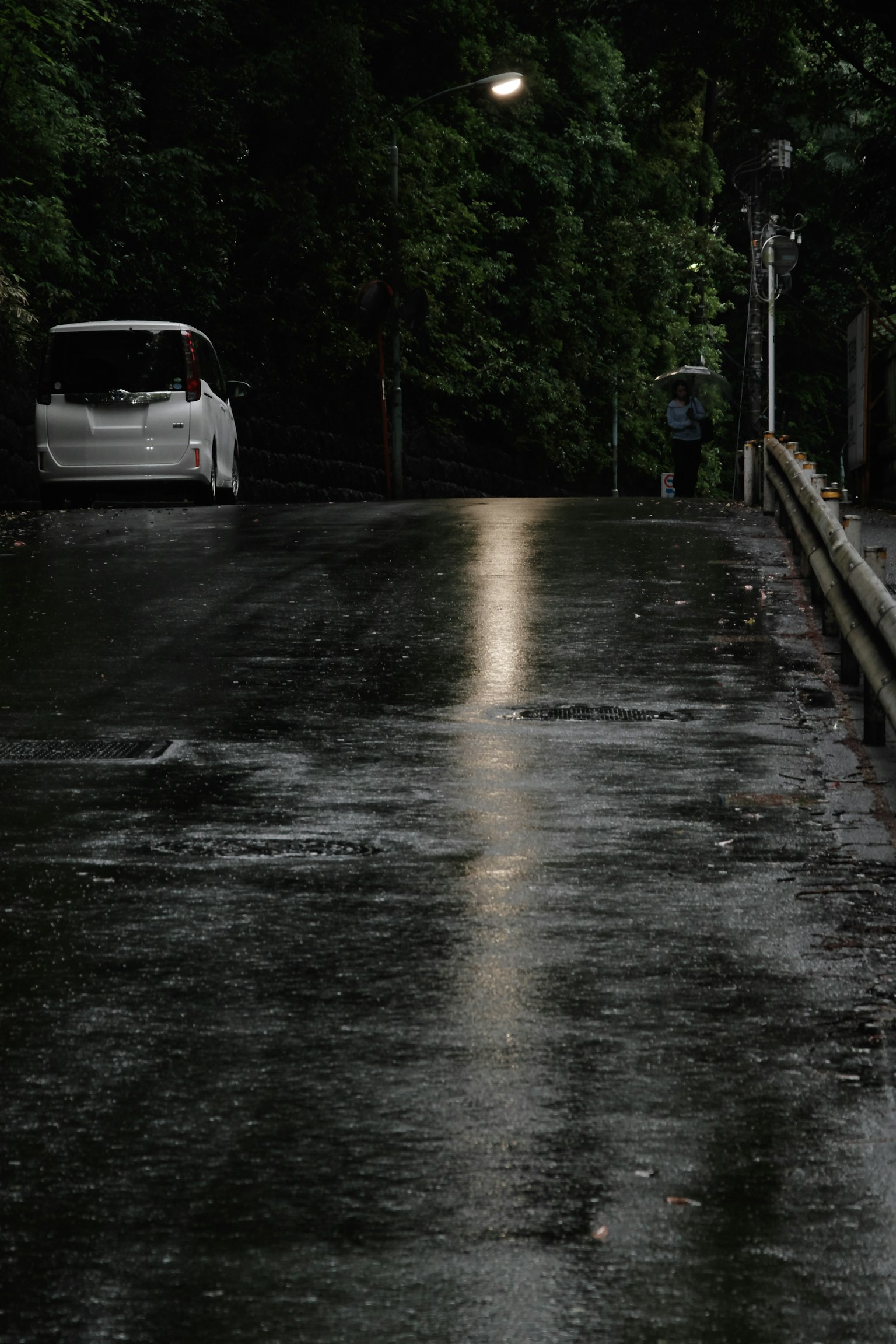 Quiet scene of a wet road with a white car and surrounding greenery