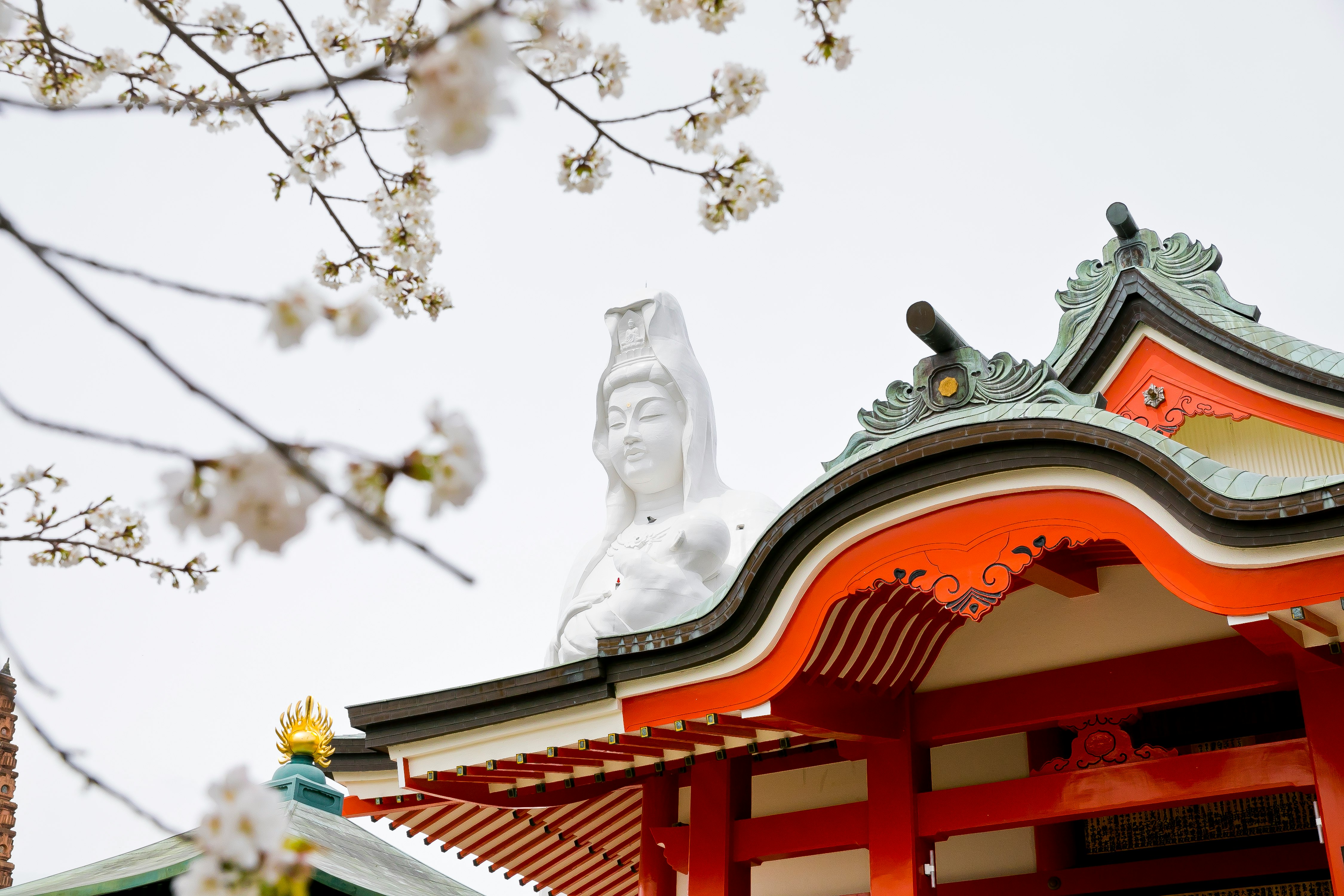 桜の枝と朱色の寺院建築の屋根