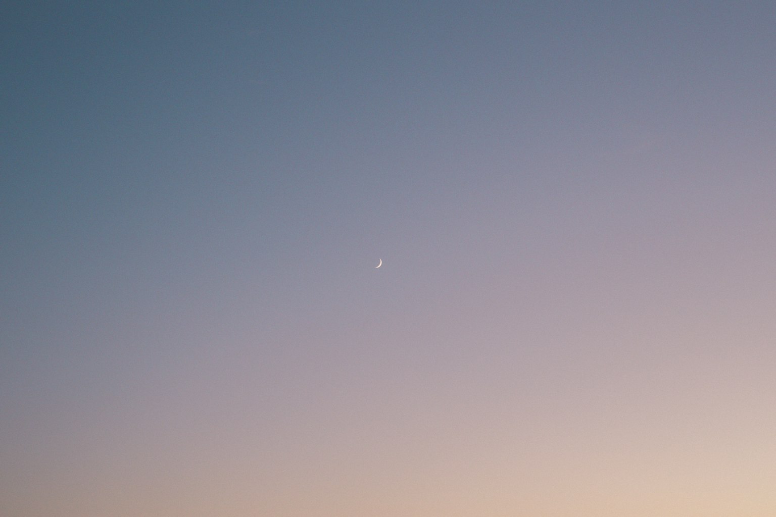 photo-Z8iVrRnvSwYYIobGWLB0-image