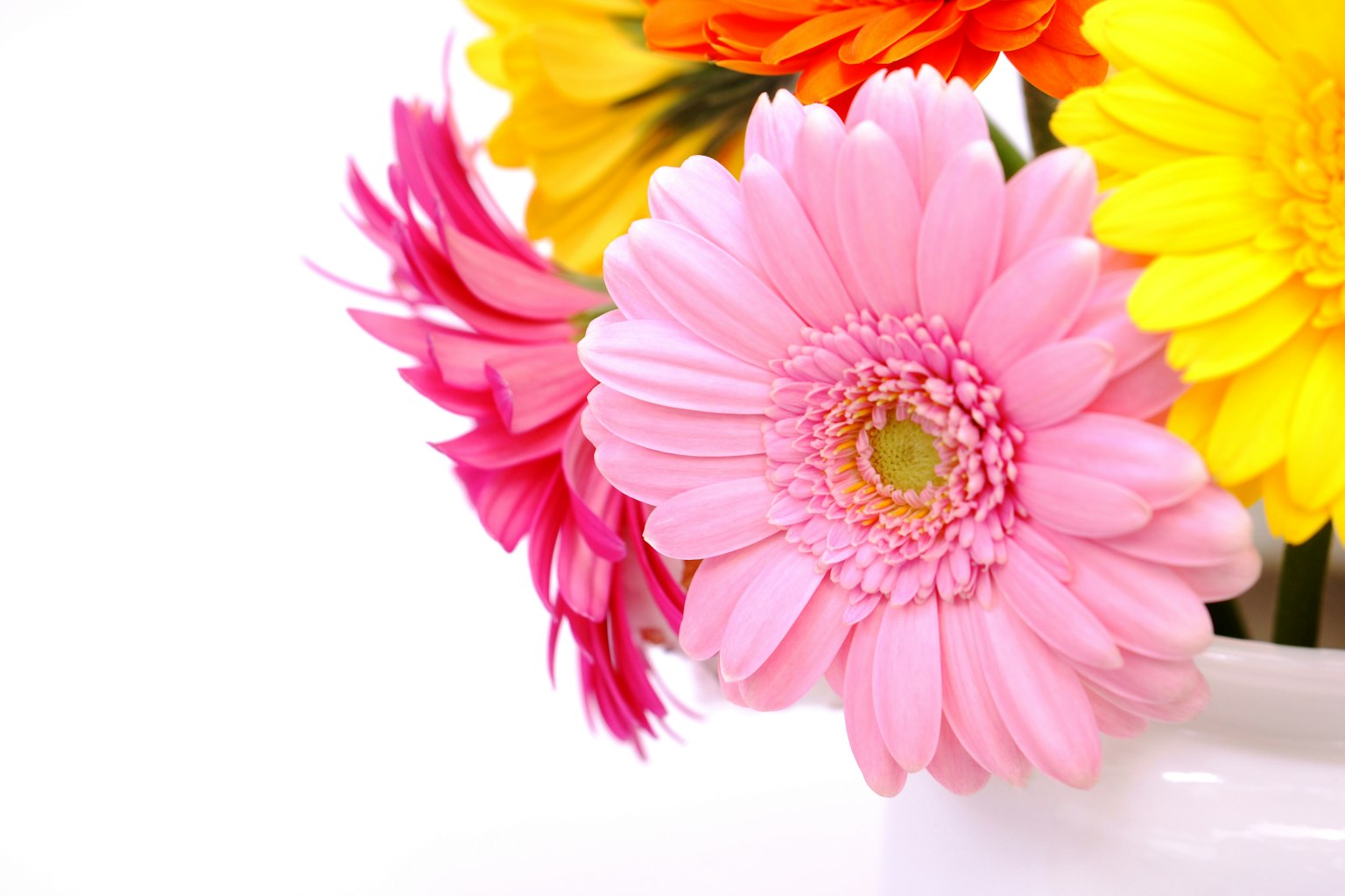 Nahaufnahme einer Vase mit bunten Blumen, darunter rosa und gelbe Blüten