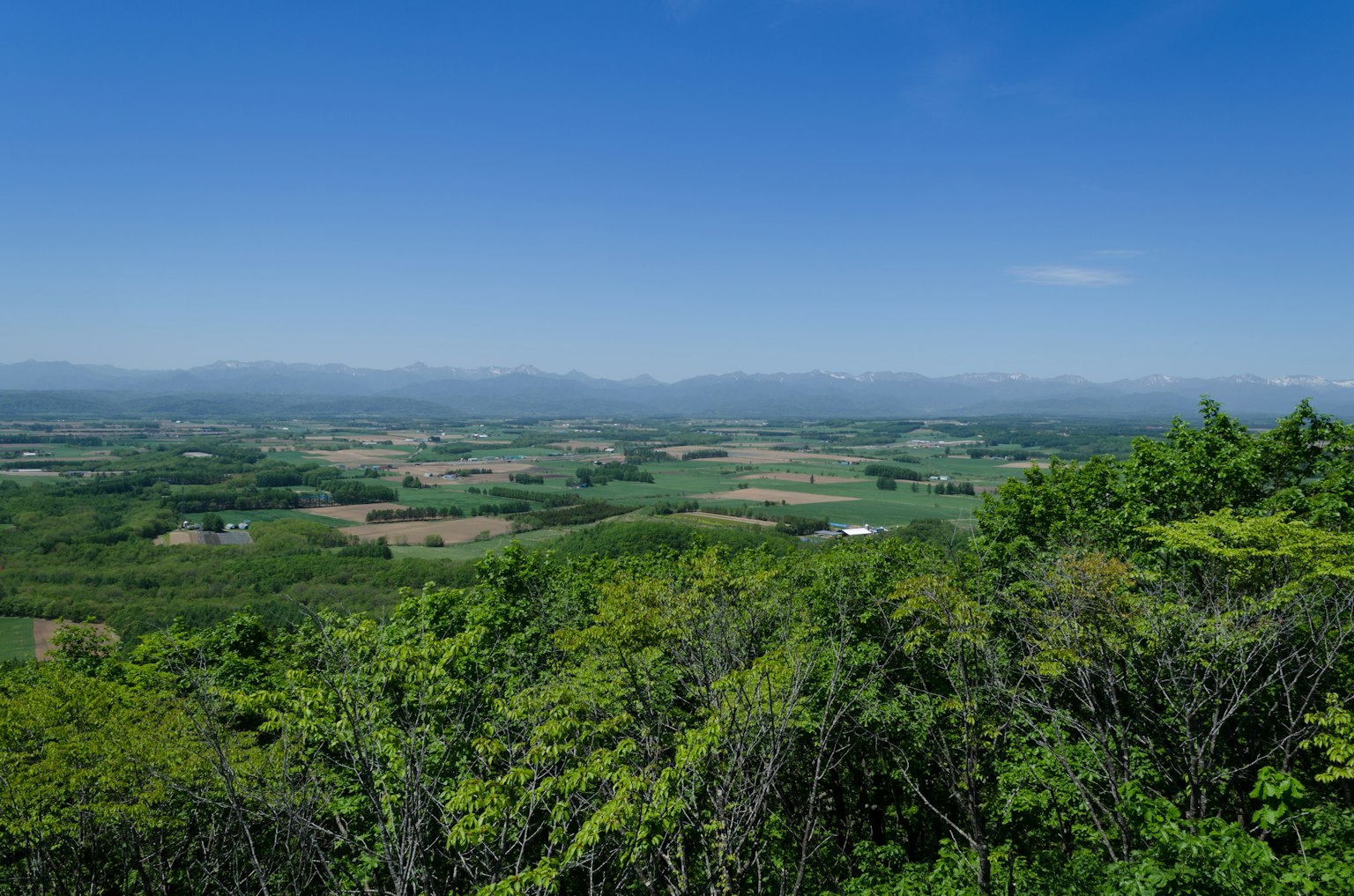 Valle verde con un cielo azul claro
