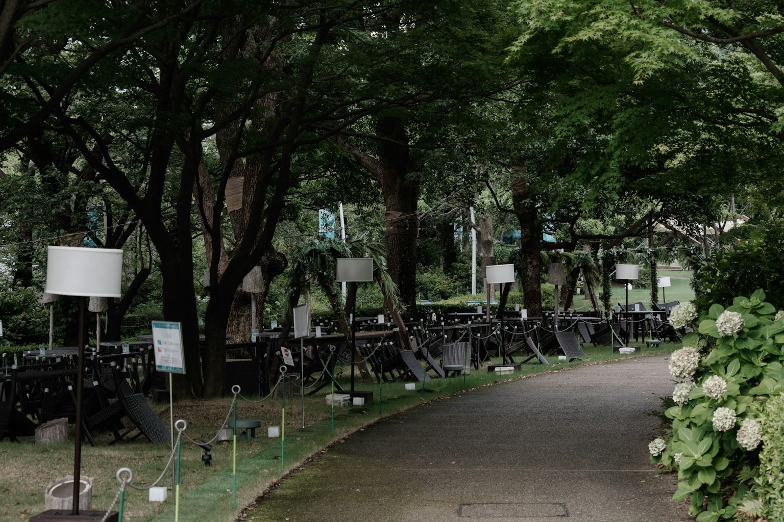 Jalan setapak taman yang indah dipenuhi bangku dan vegetasi subur