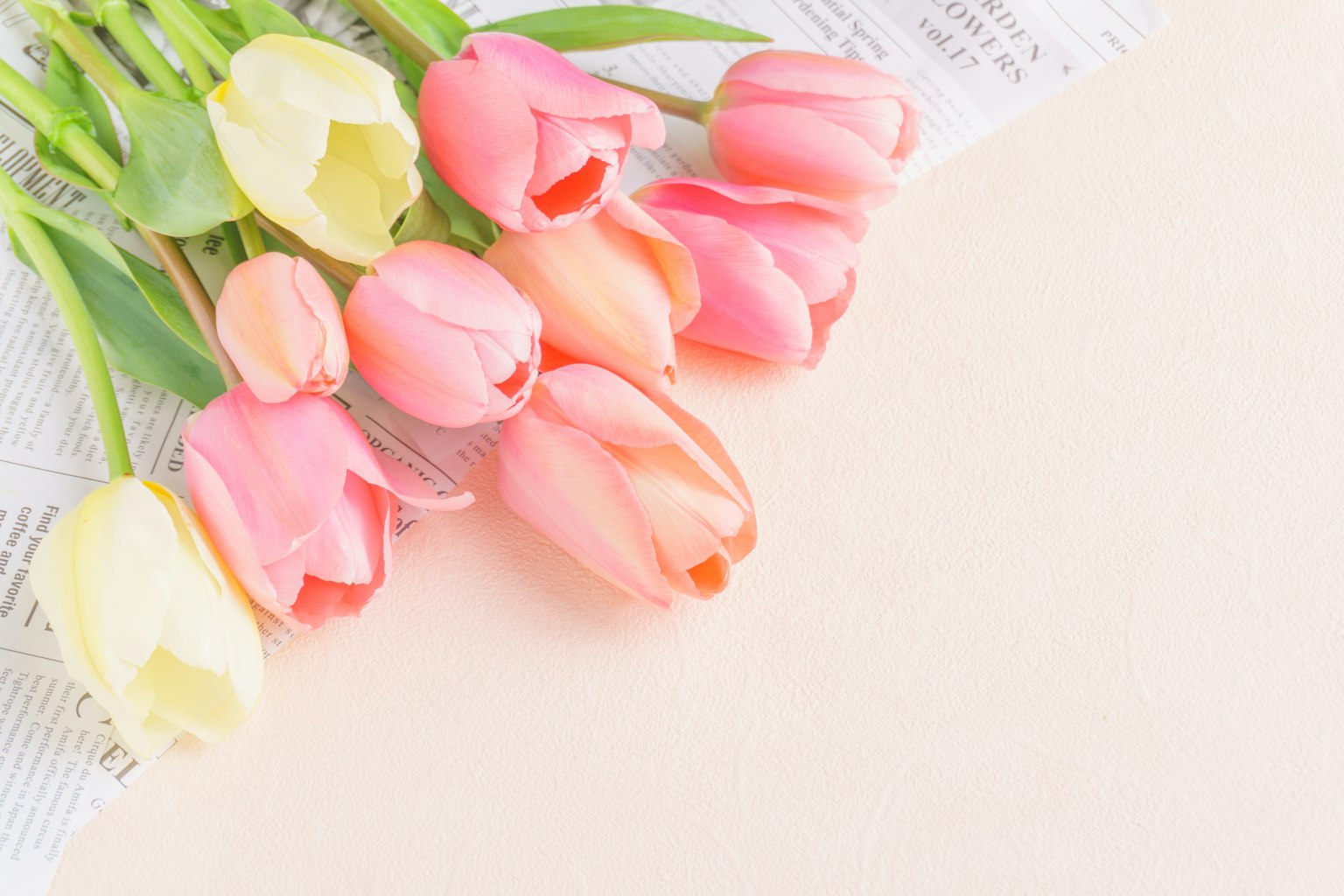 Un mazzo di tulipani colorati disposto su uno sfondo beige