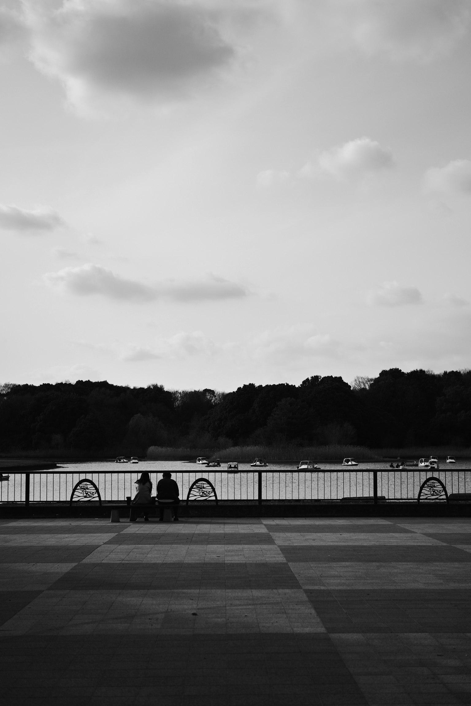 Silhouette of two people sitting by a lake in a black and white landscape