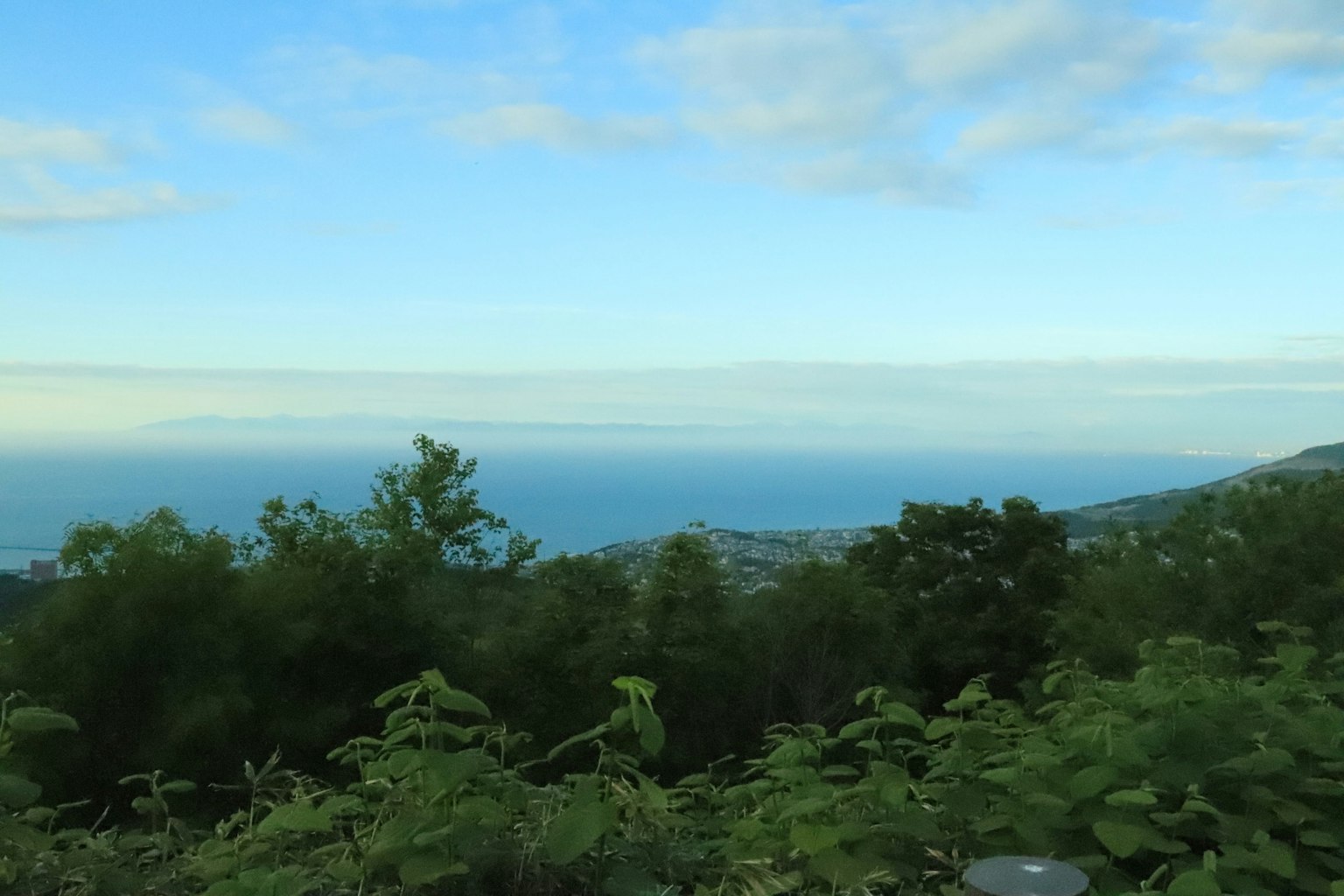 Vista panoramica del mare e del cielo con vegetazione verde in primo piano