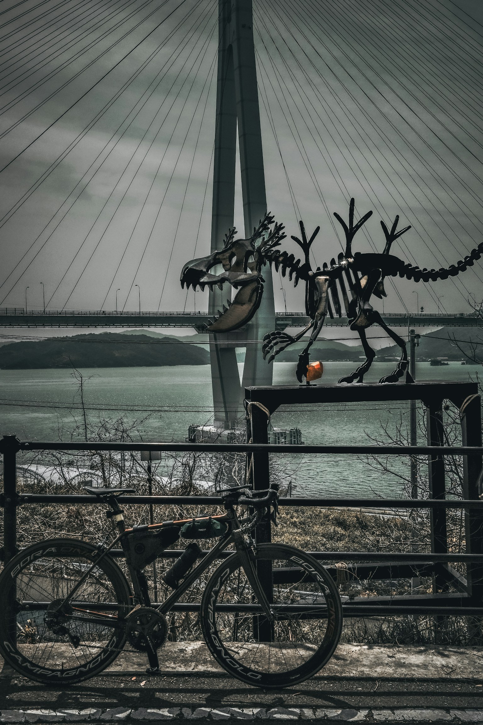 photo-ZAD0OfTjAqWQt1D2gvkG-image