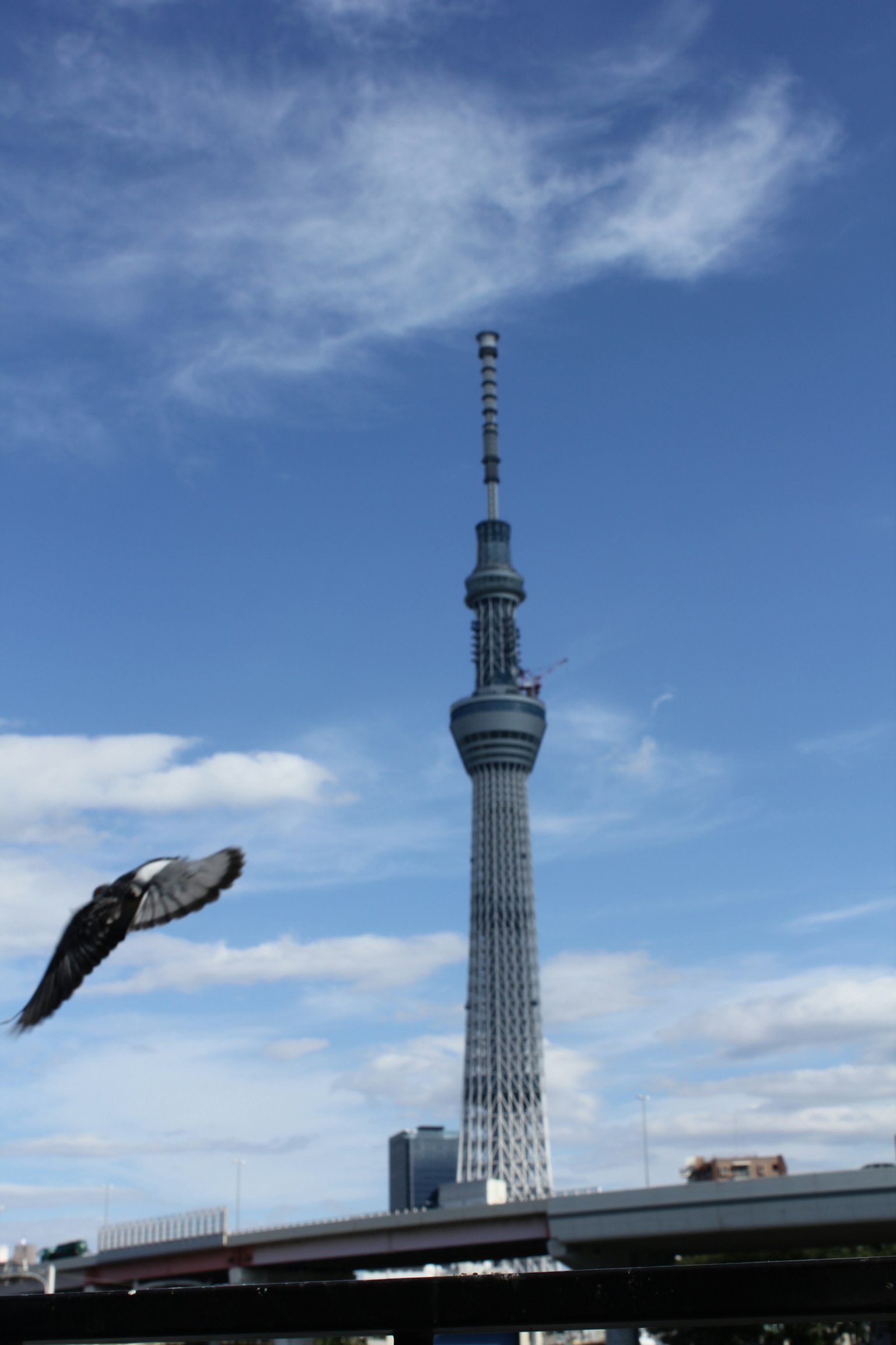 东京晴空下的东京塔