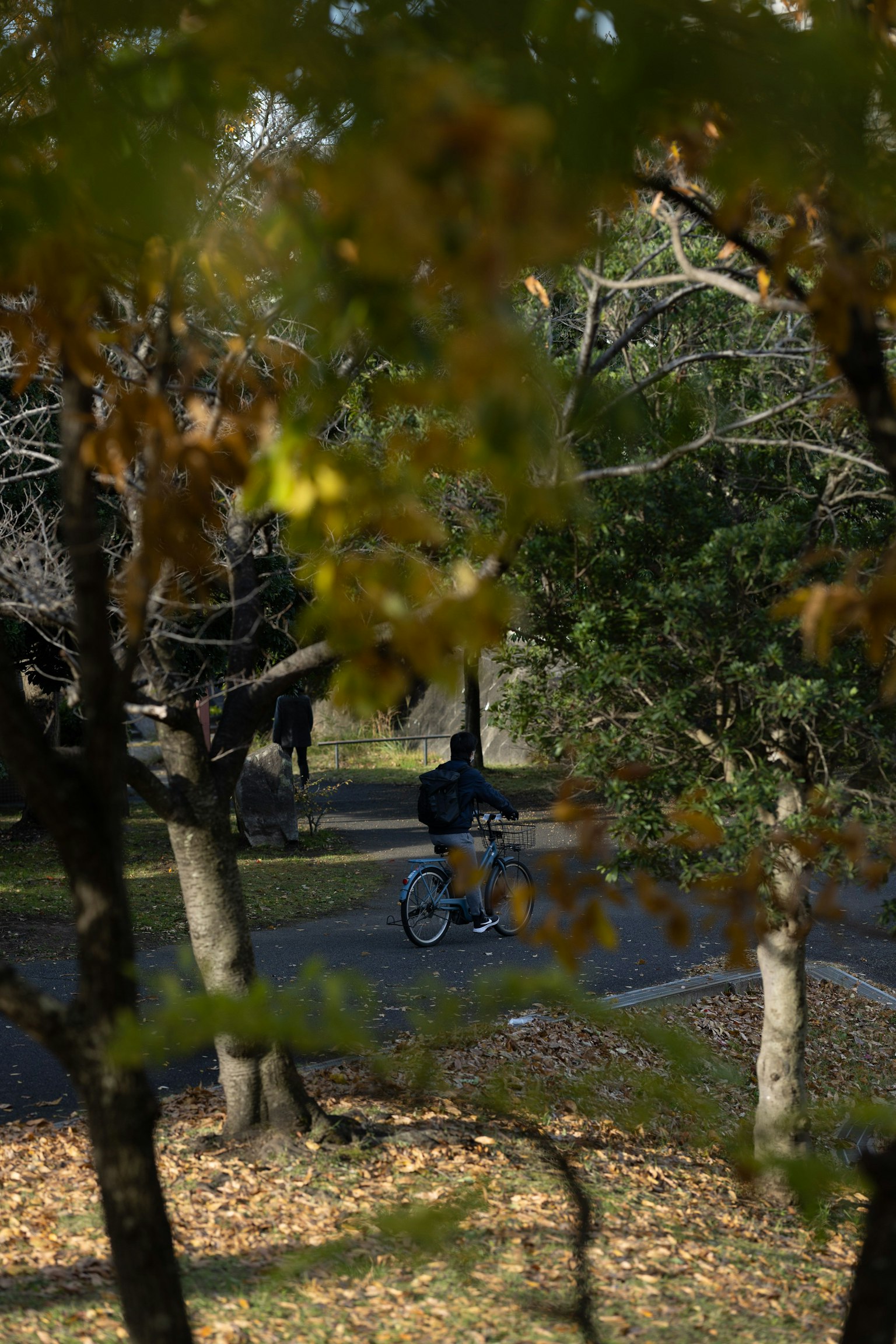 Person fährt Fahrrad in einem Herbstpark mit bunten Bäumen