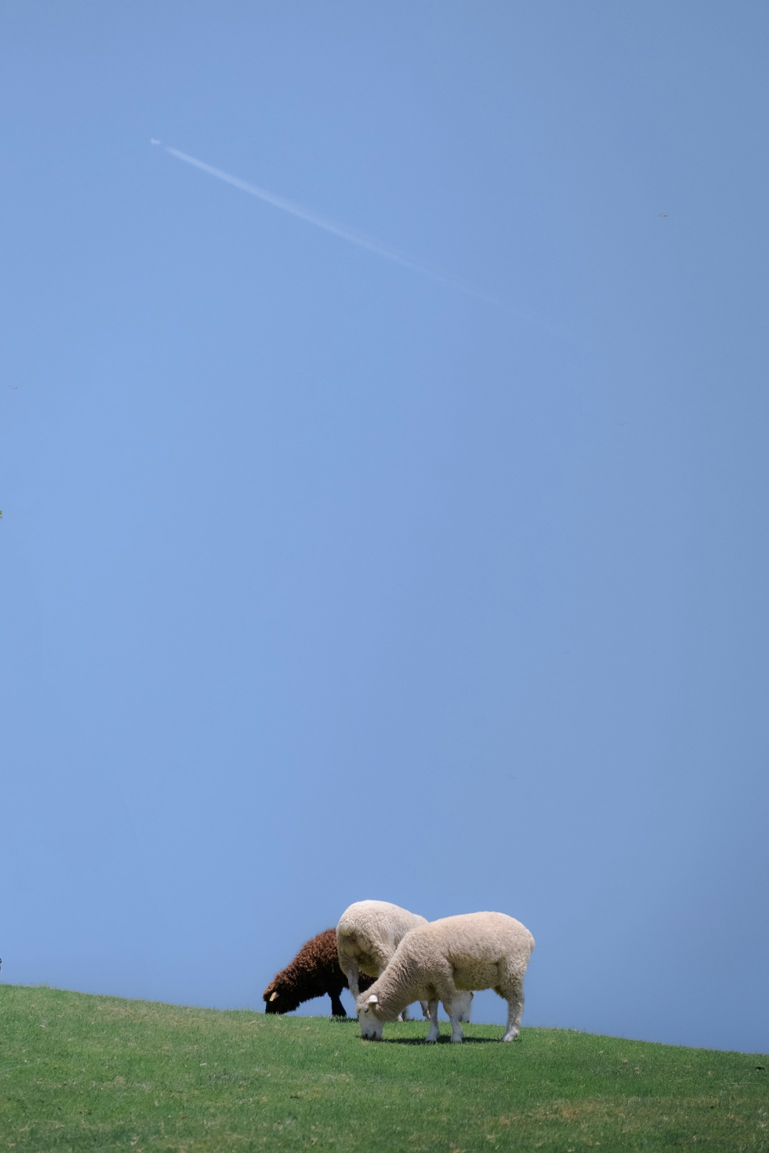 photo-ZB2jyWtNRfPjADWDbRIp-image