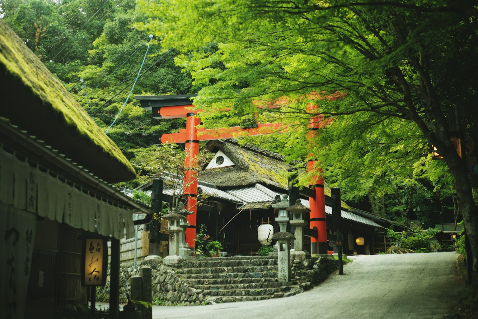 Malersiche Ansicht eines roten Torii-Tors umgeben von üppigen grünen Bäumen und traditionellen Gebäuden