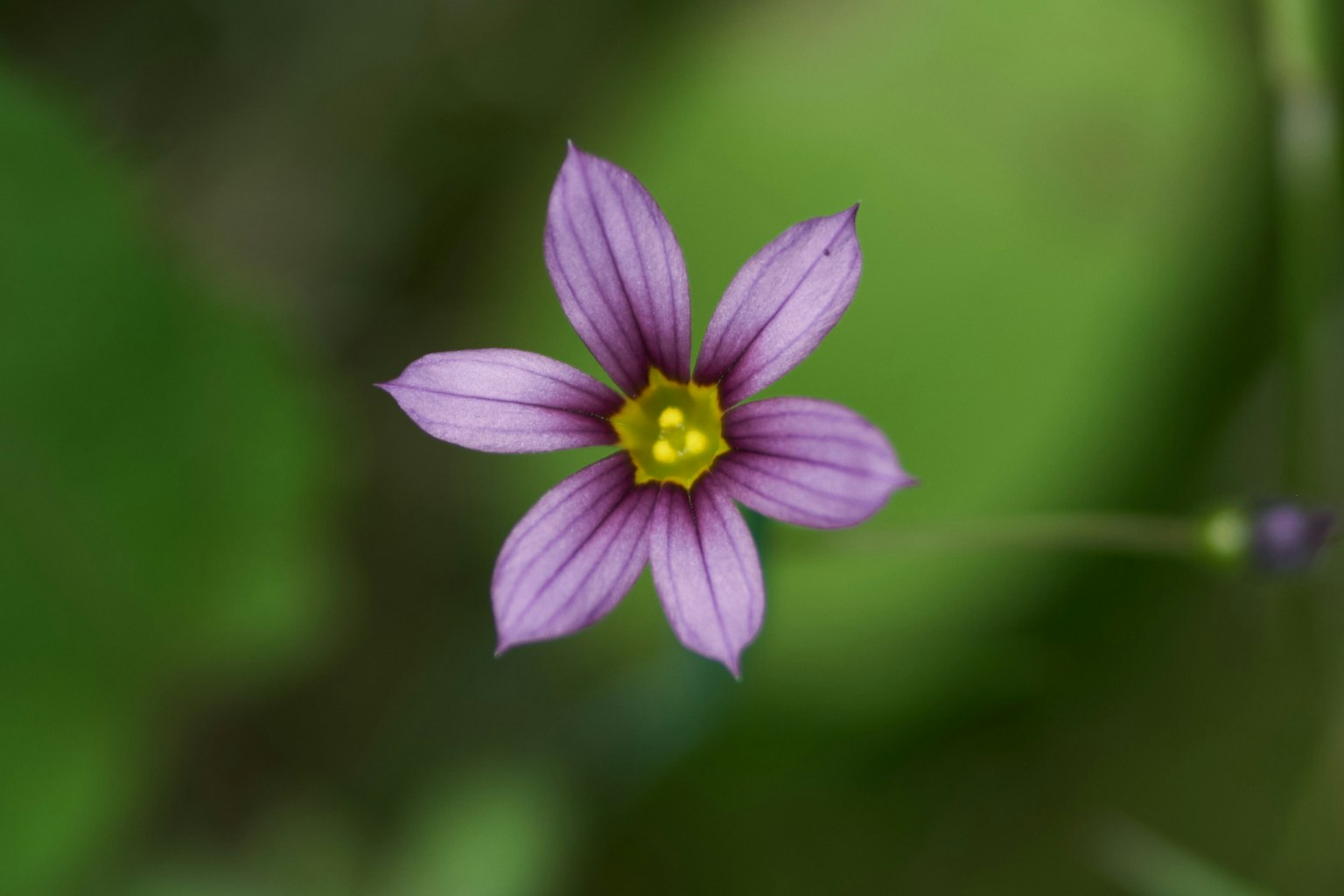 photo-ZBEHQHaDSxAIrX6mTLBx-image
