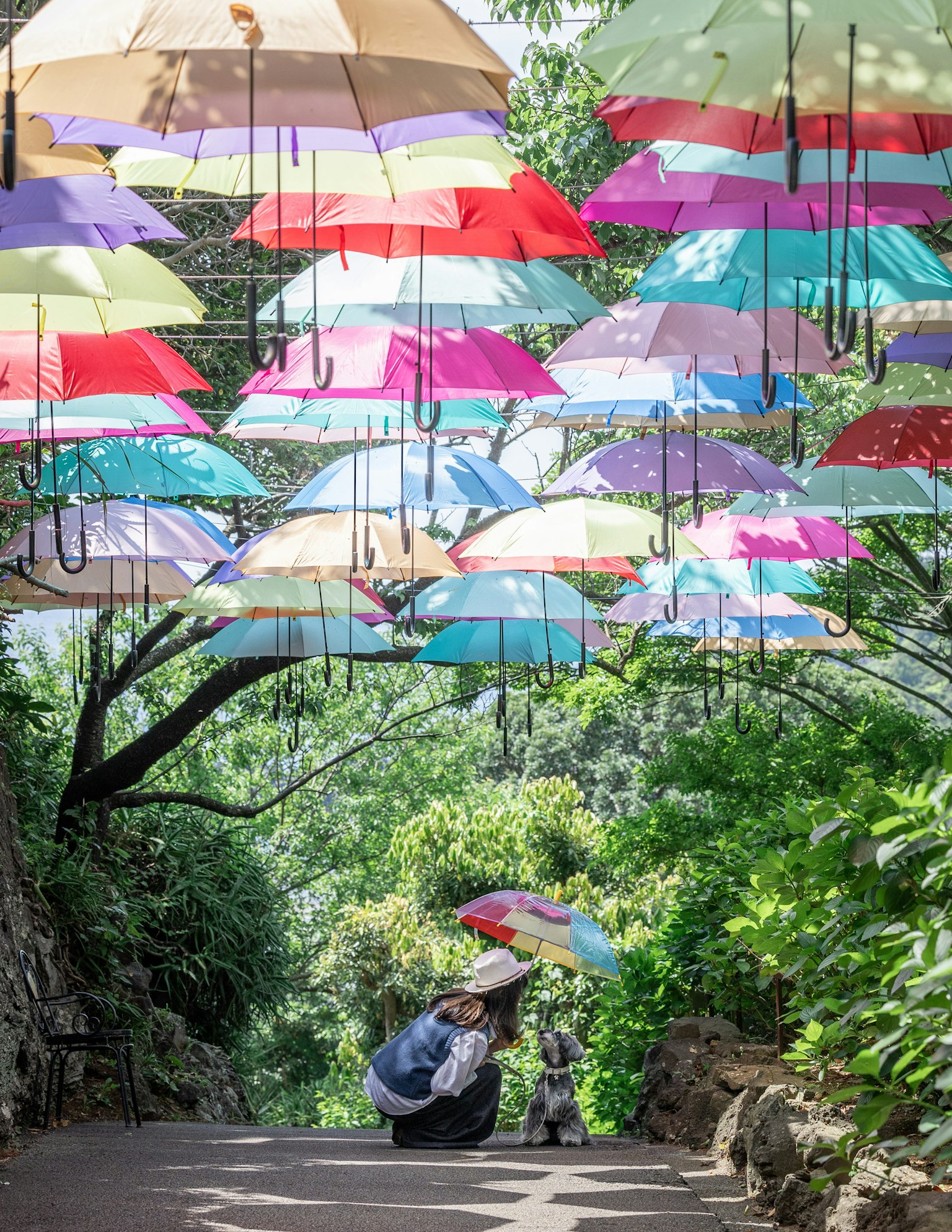 Paraguas coloridos colgados sobre un camino verde con personas disfrutando debajo