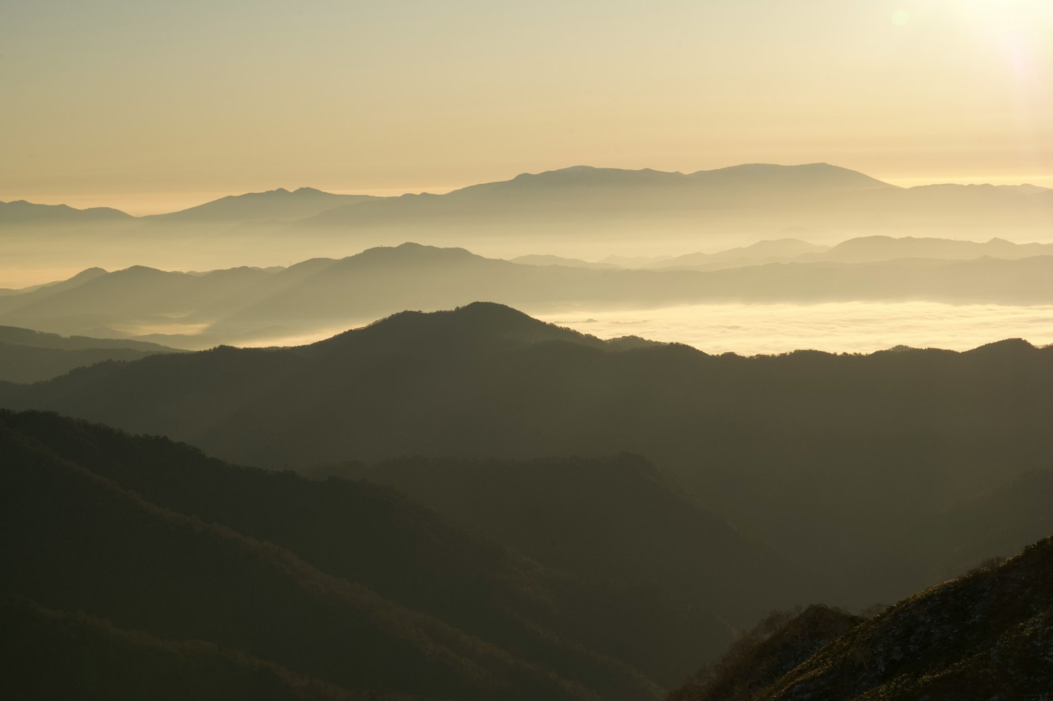 Fog-covered mountains with soft morning sunlight