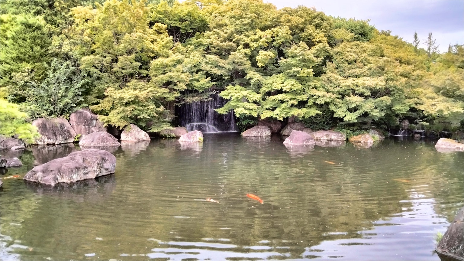 寧靜的池塘景象，綠樹成蔭和小瀑布