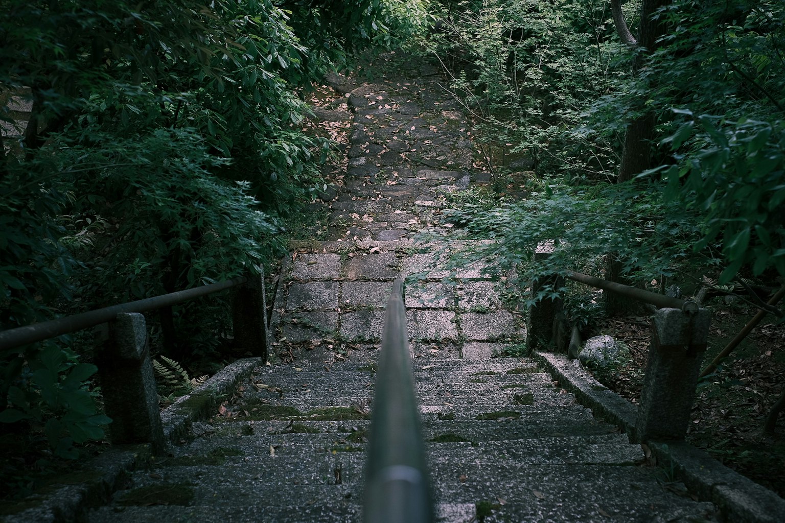 Stone staircase surrounded by greenery and a railing