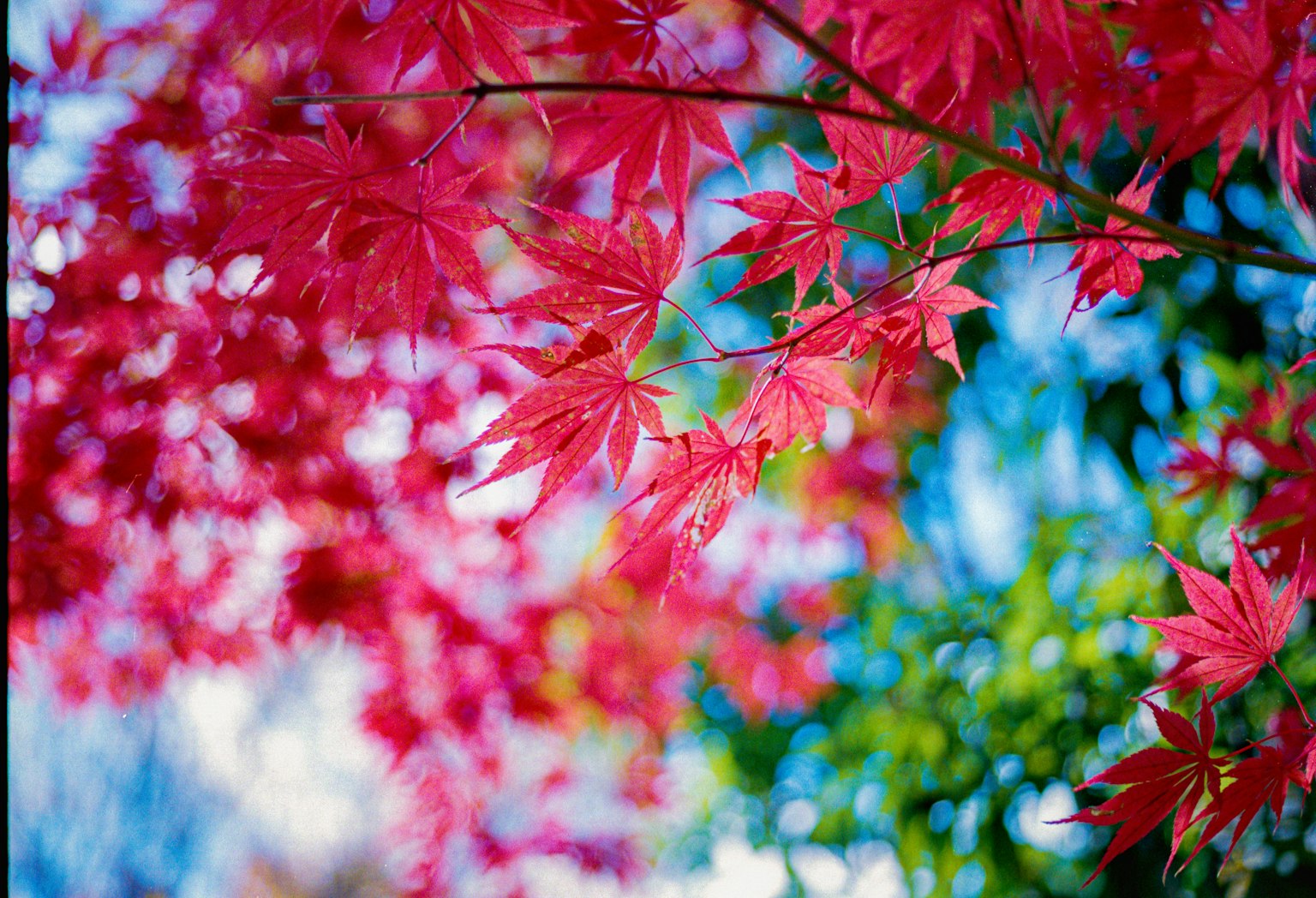 photo-ZD3t07uCDO1iPhsHA4nl-image