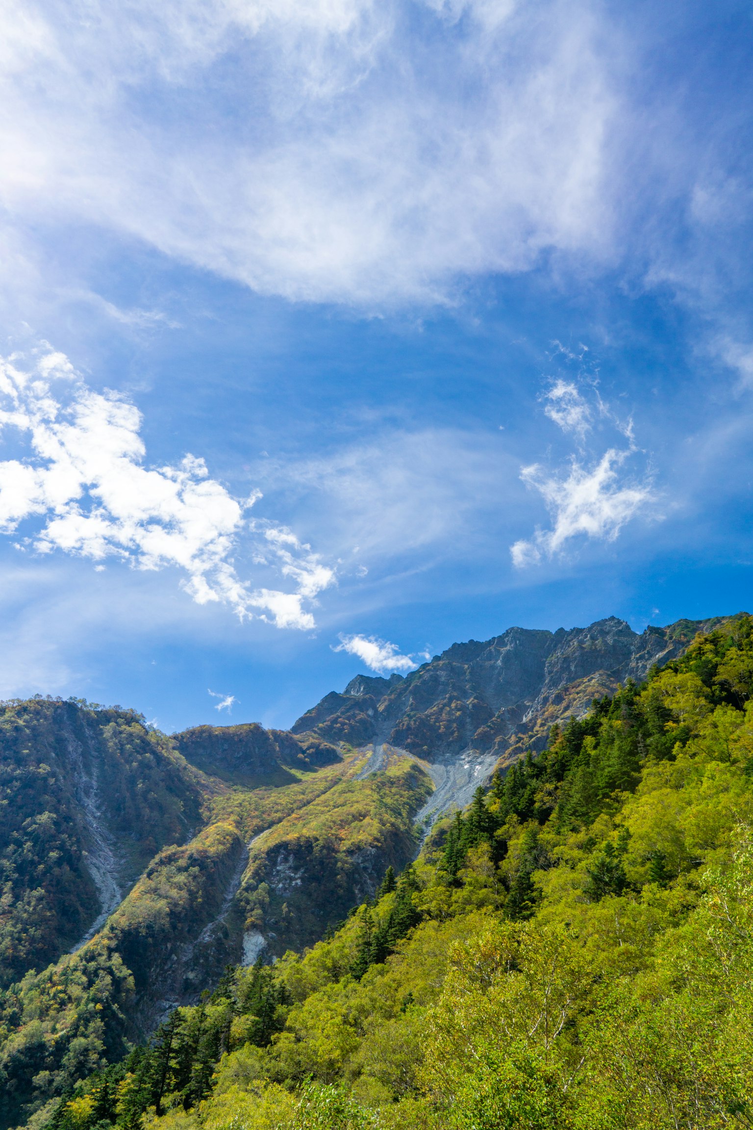 Paesaggio vibrante di montagne e vegetazione lussureggiante sotto un cielo blu