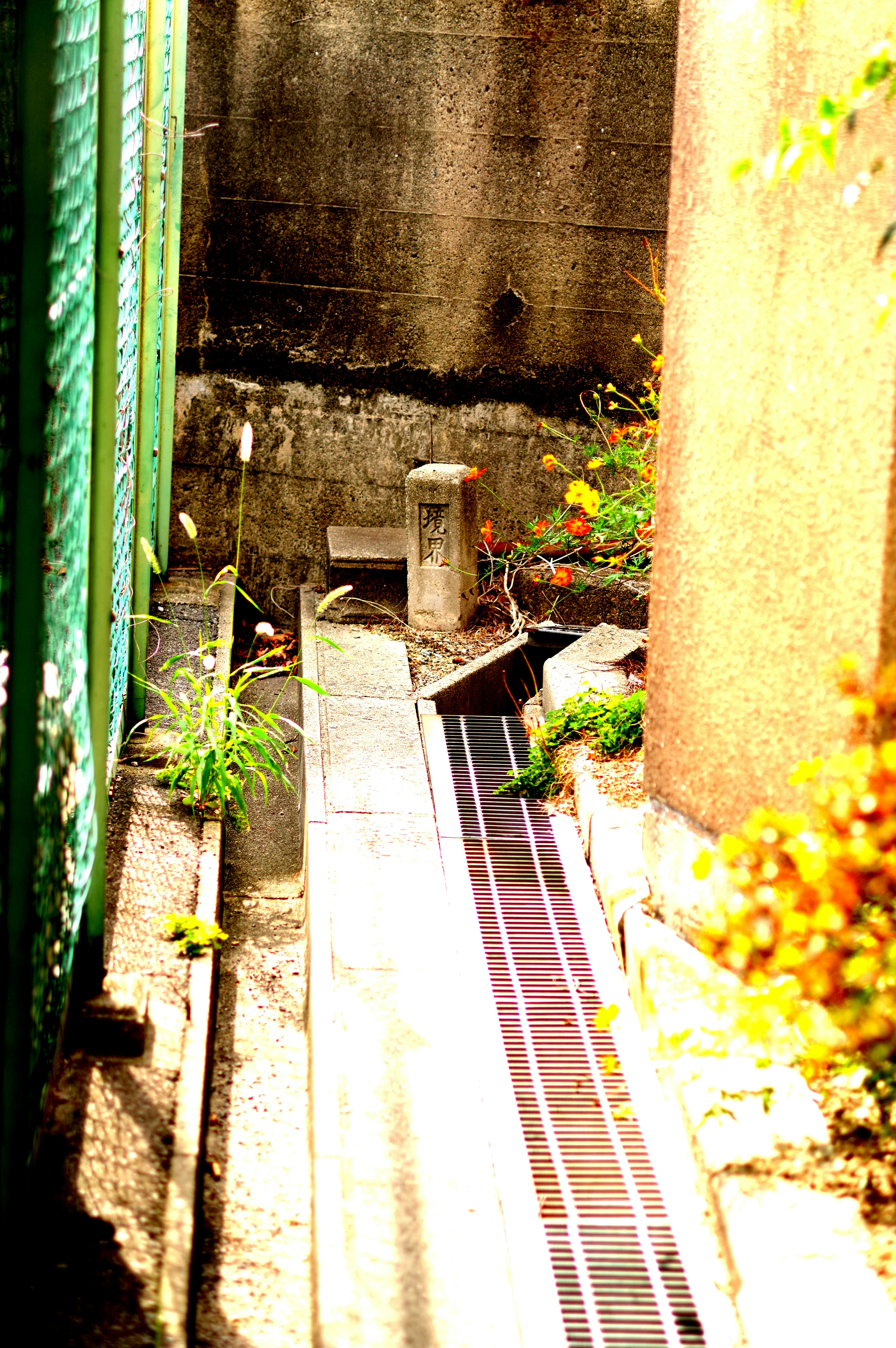 路地の壁際に並ぶ植木鉢と小さな階段のある風景