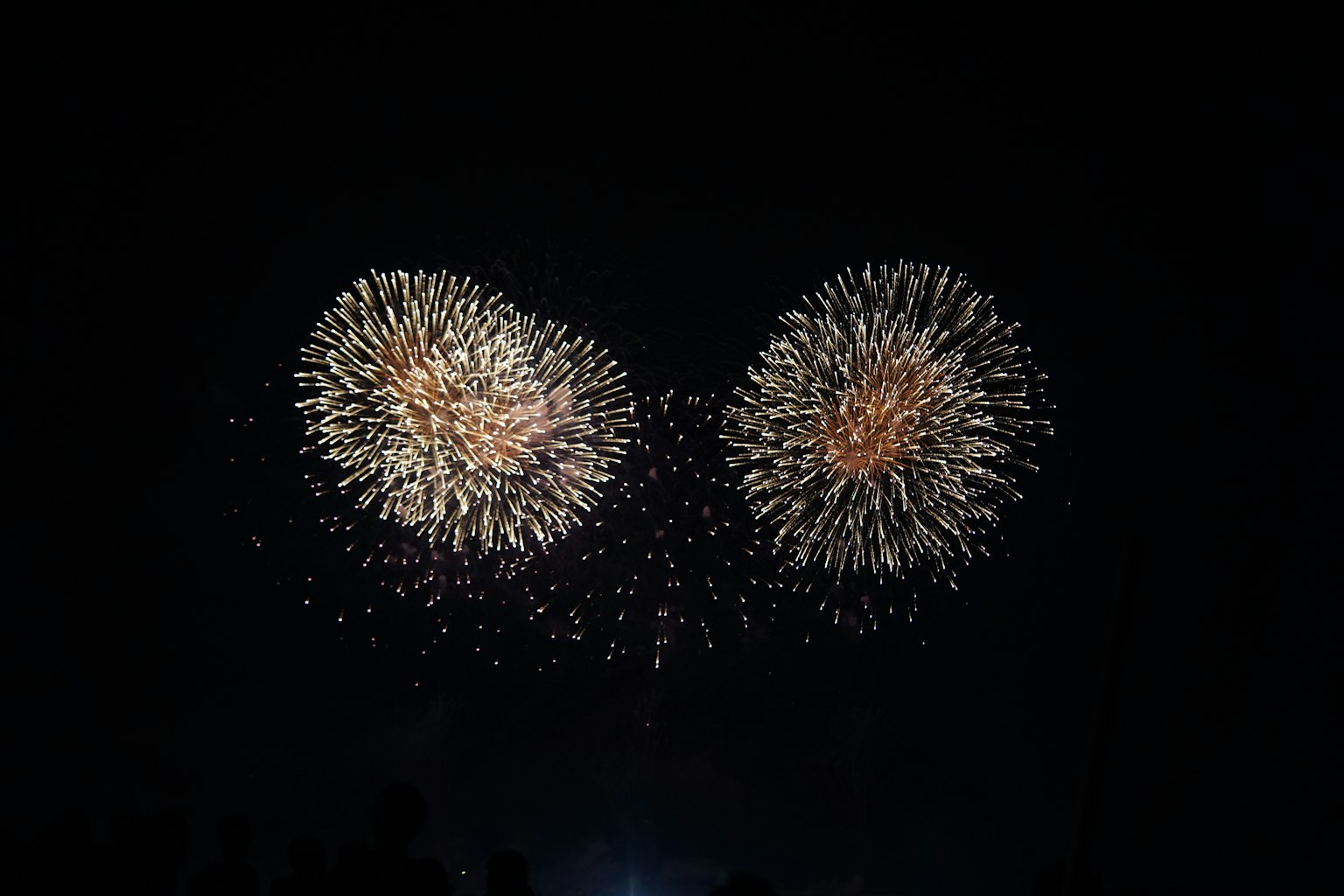 夜空中綻放的兩個煙火