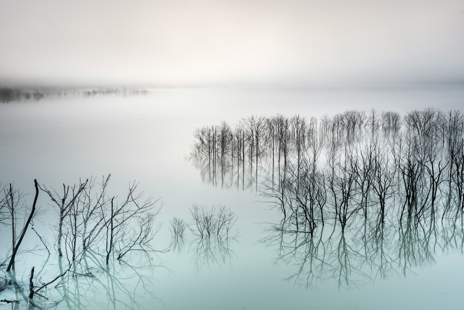 Siluetas de árboles desnudos reflejadas en la superficie tranquila de un lago en un paisaje brumoso