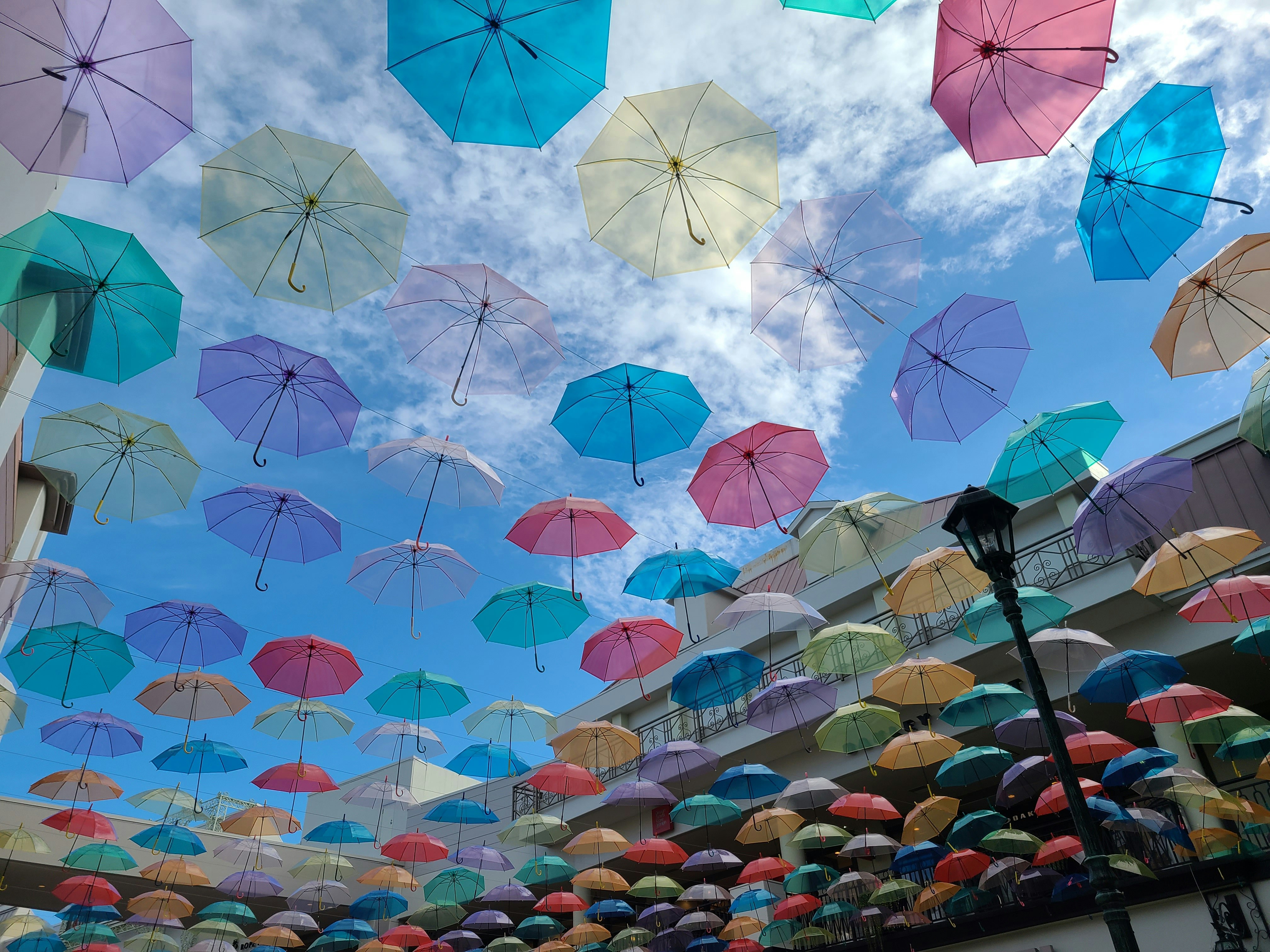 五彩繽紛的雨傘鋪滿戶外天空