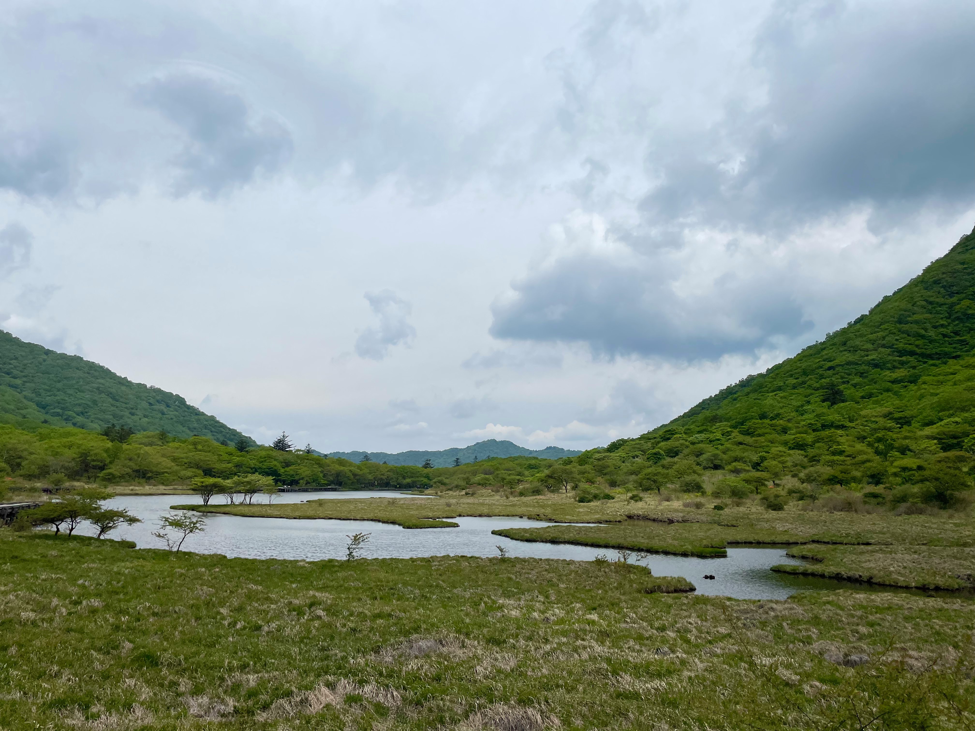 paesaggio di montagne verdi con fiume e zona umida