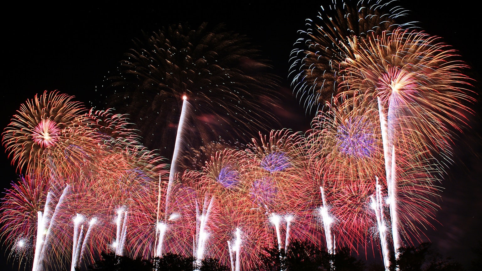 A beautiful display of colorful fireworks lighting up the night sky