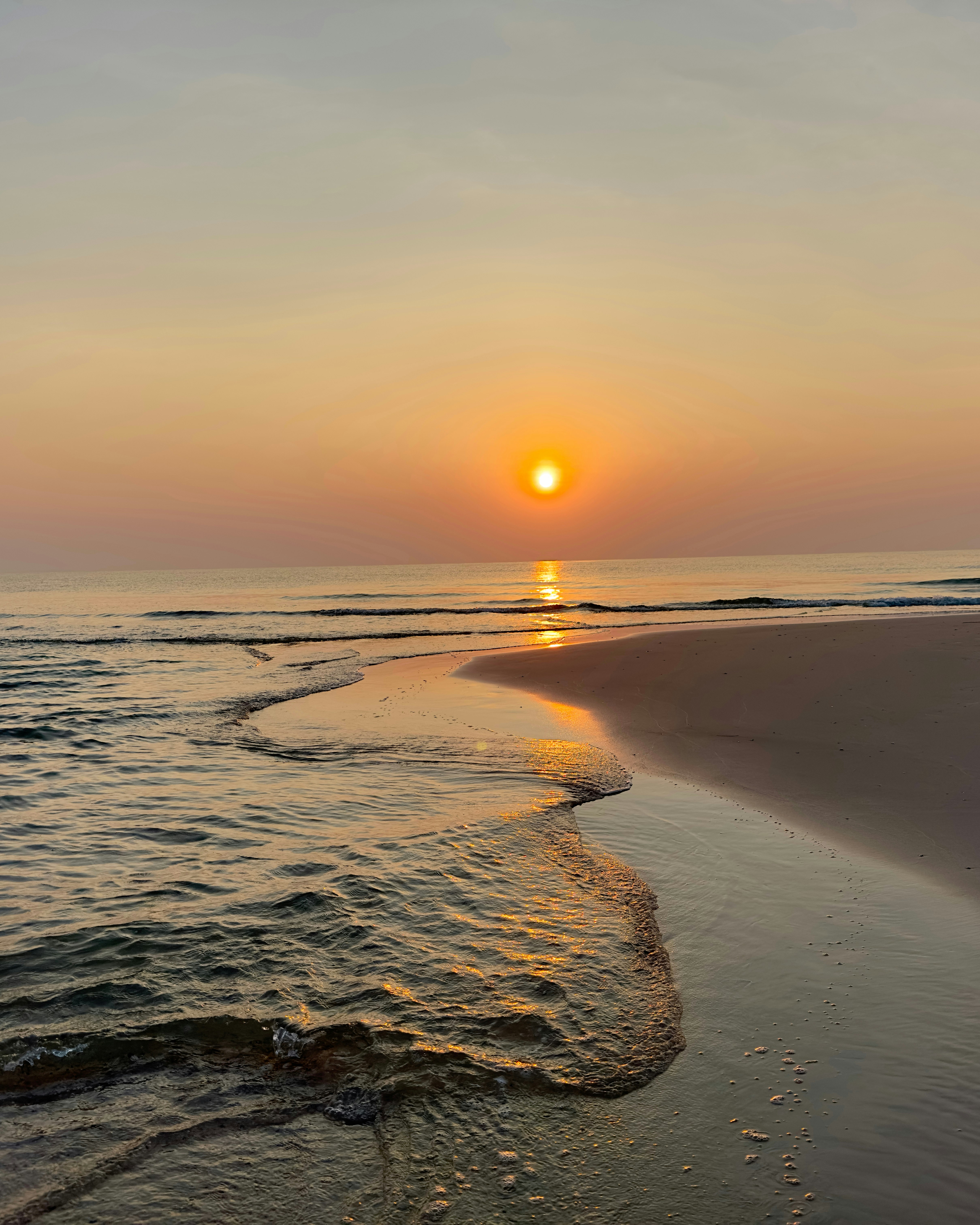 photo-ZEpyrvVStf5EtC2FkxtO-image