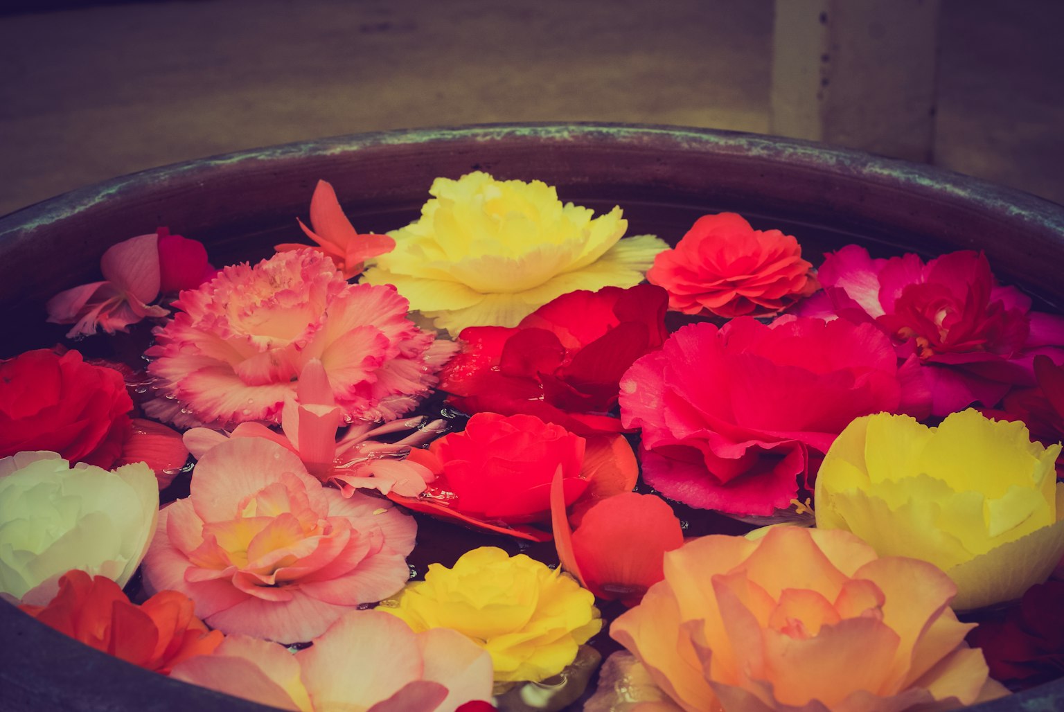 Rose colorate che galleggiano in una vasca d'acqua