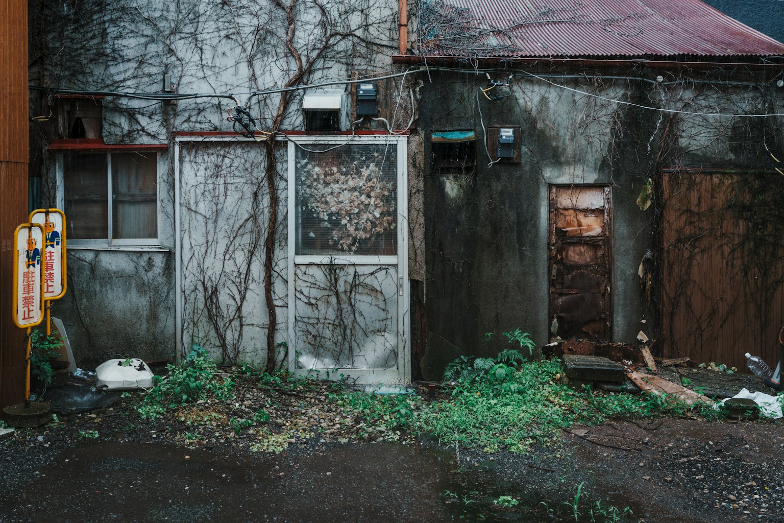 photo-ZFVWAJ37KyOG44peDQTd-image