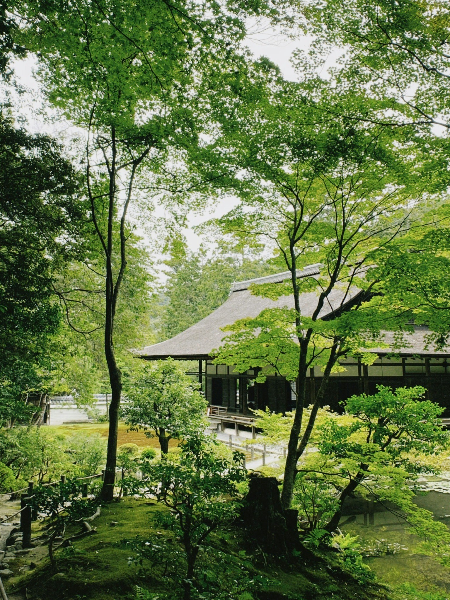 Edificio japonés tradicional rodeado de exuberante vegetación