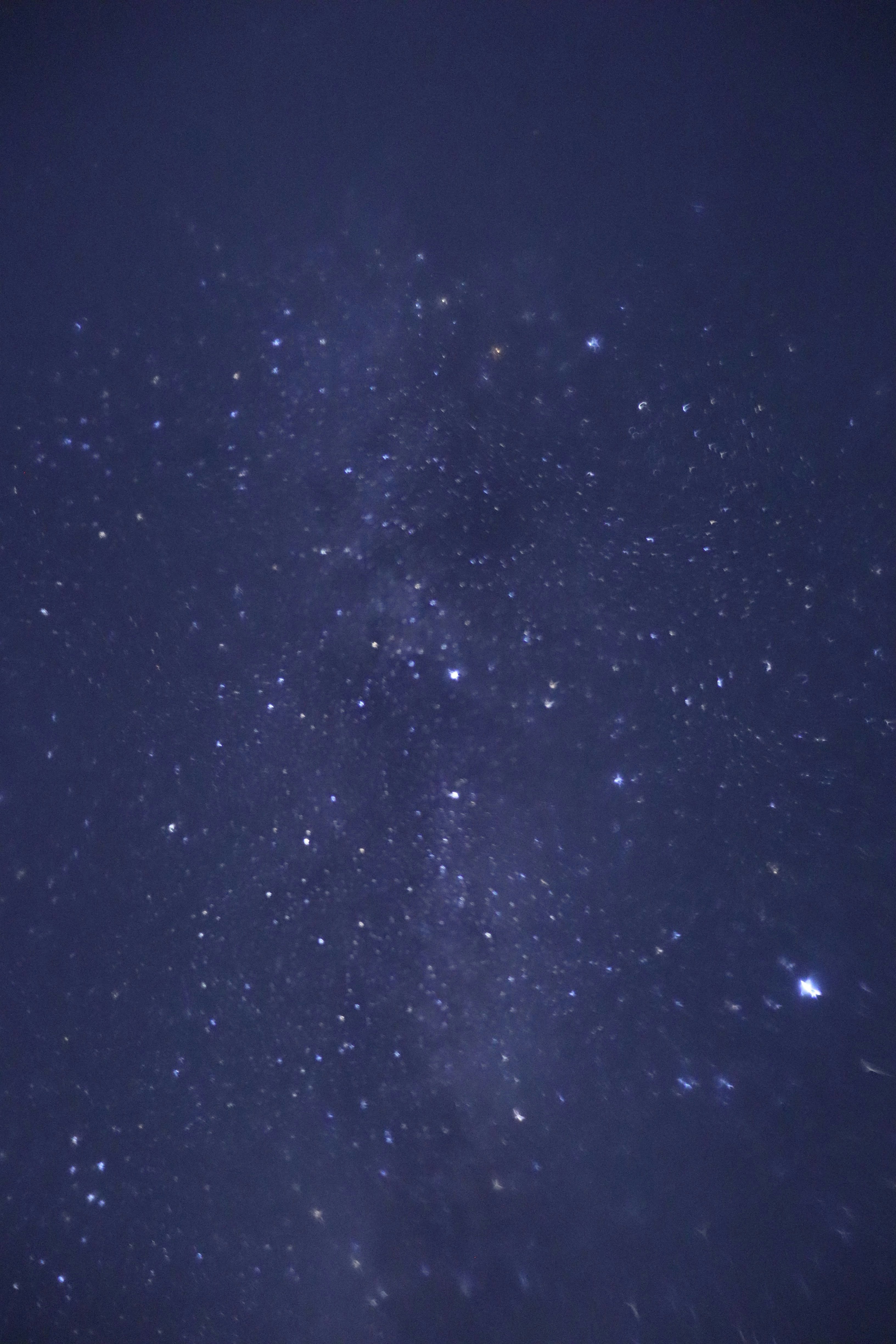 夜空に広がる星の瞬き